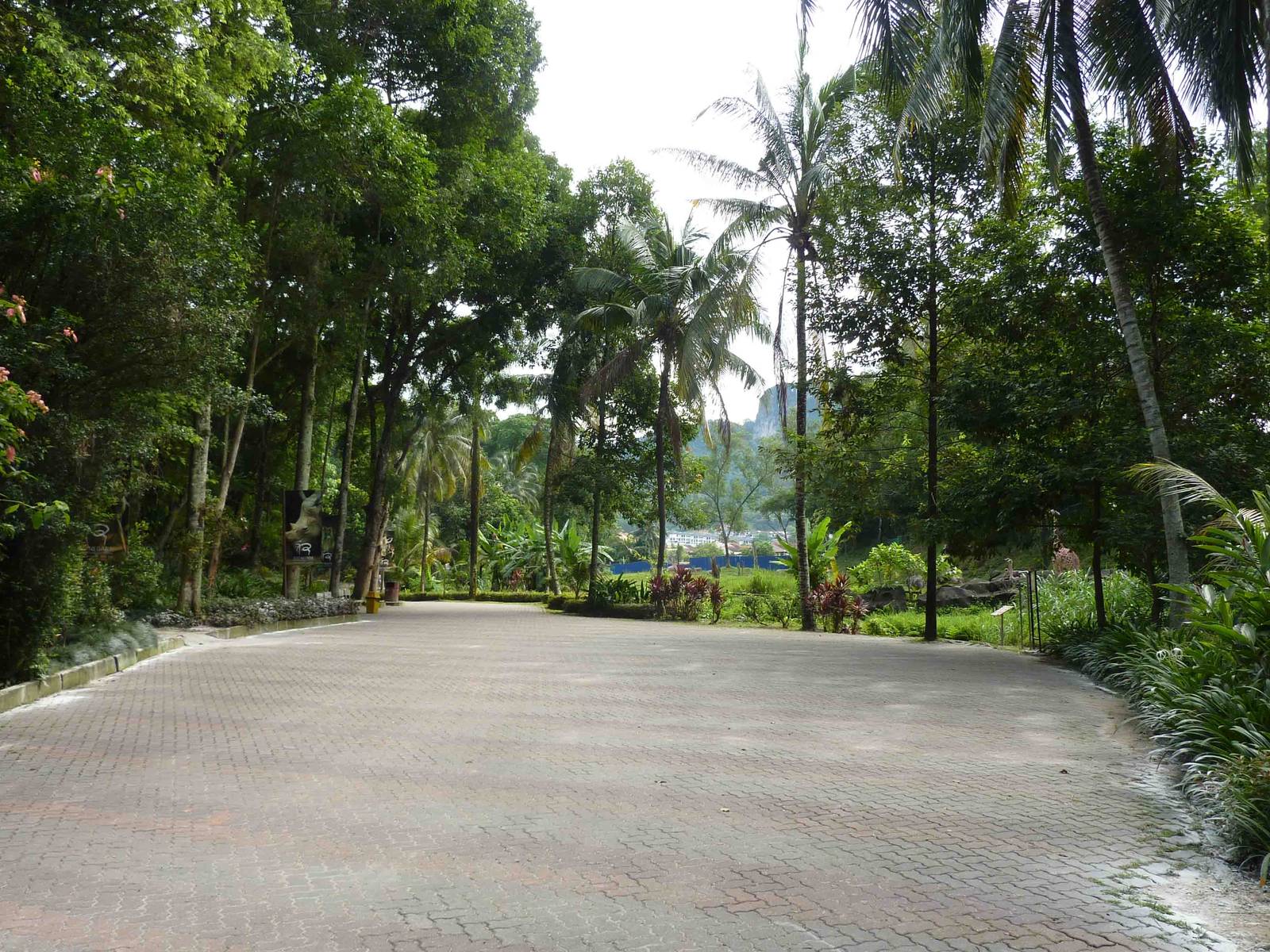 Path through zoo, May 2013.