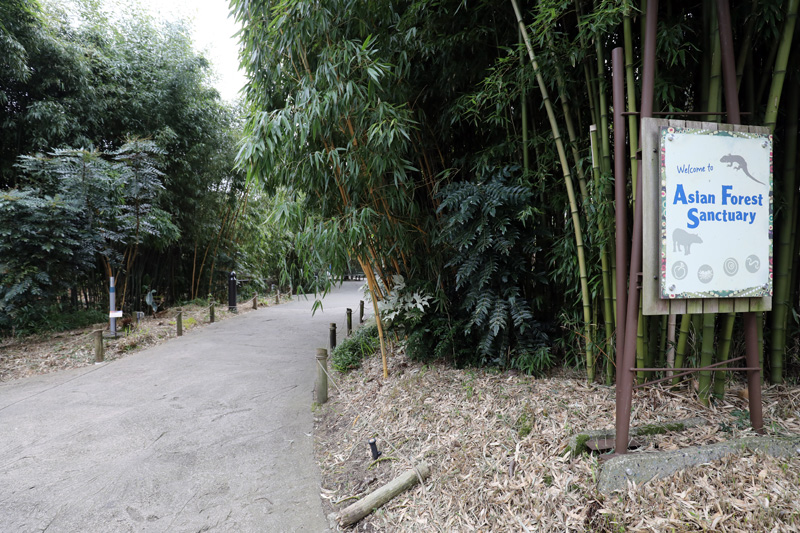 path to Asian exhibits