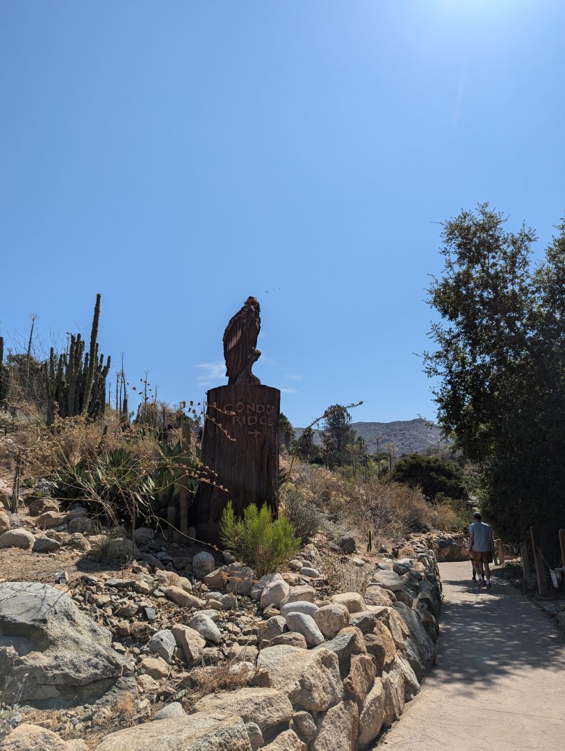 Path to Condor Ridge