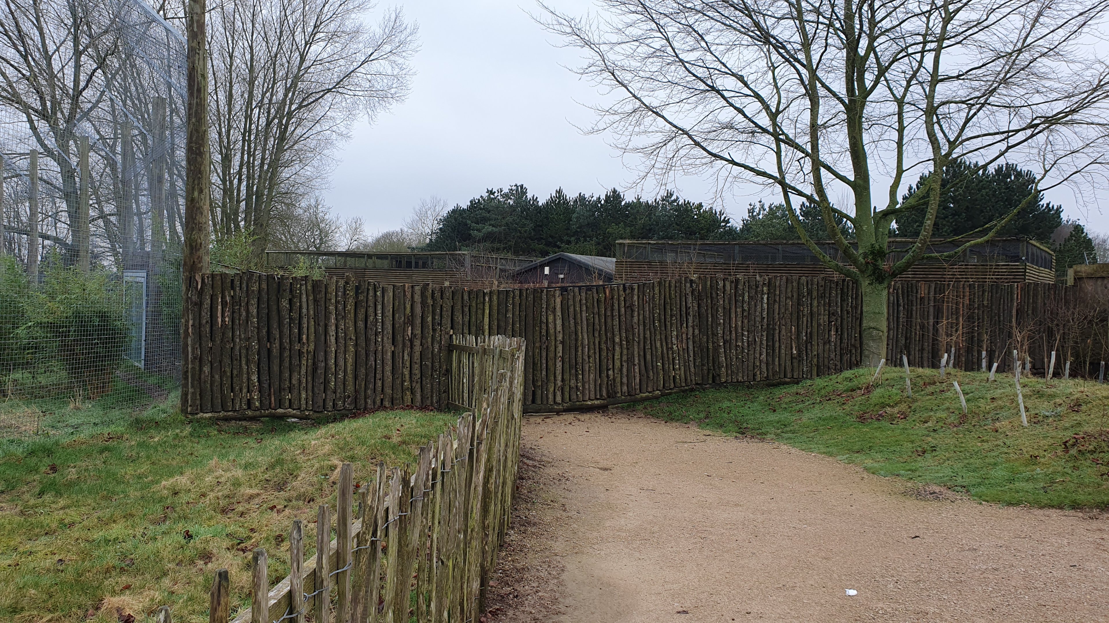 Path to Former Lemur House and Tufted Deer Paddock at Twycross Zoo, 11th February 2024