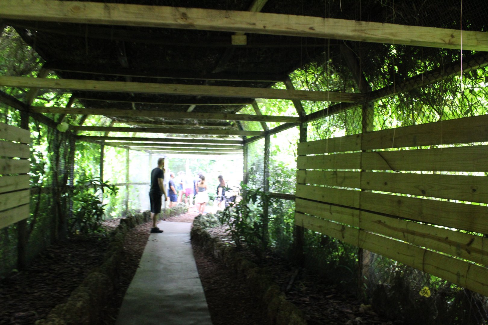 Path to/from Amazonian Rainforest
