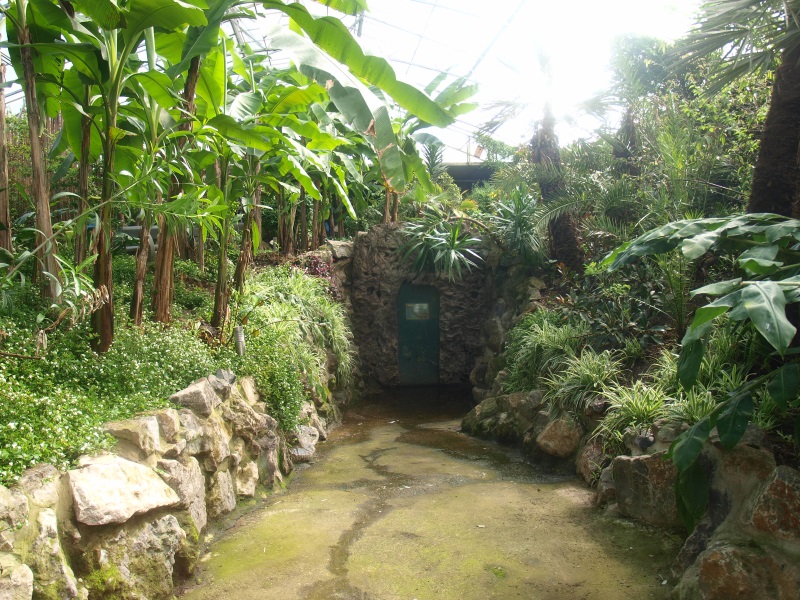 Path to future reptile corridor (April 19th, 2015)