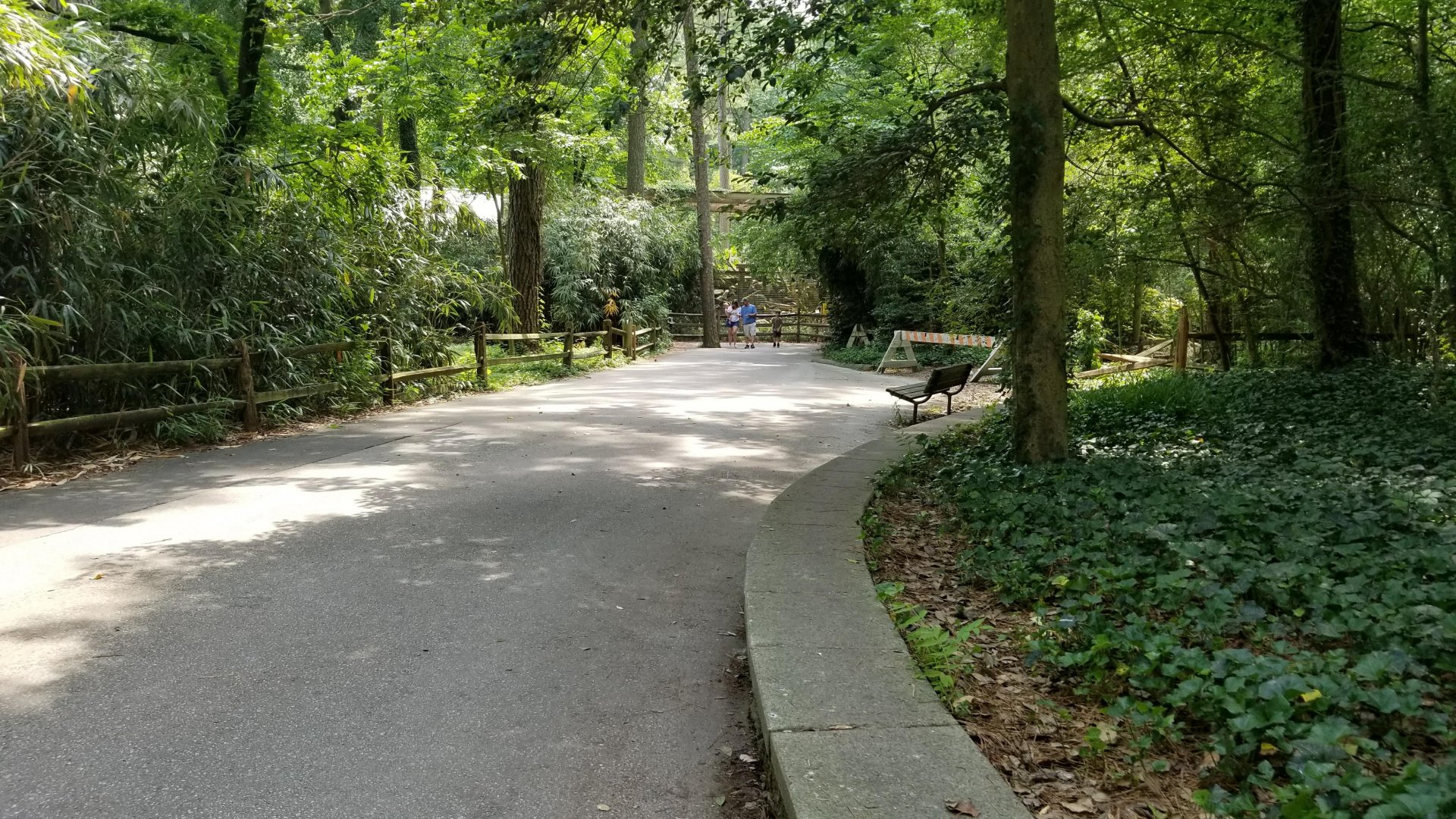 Path to jaguar exhibit