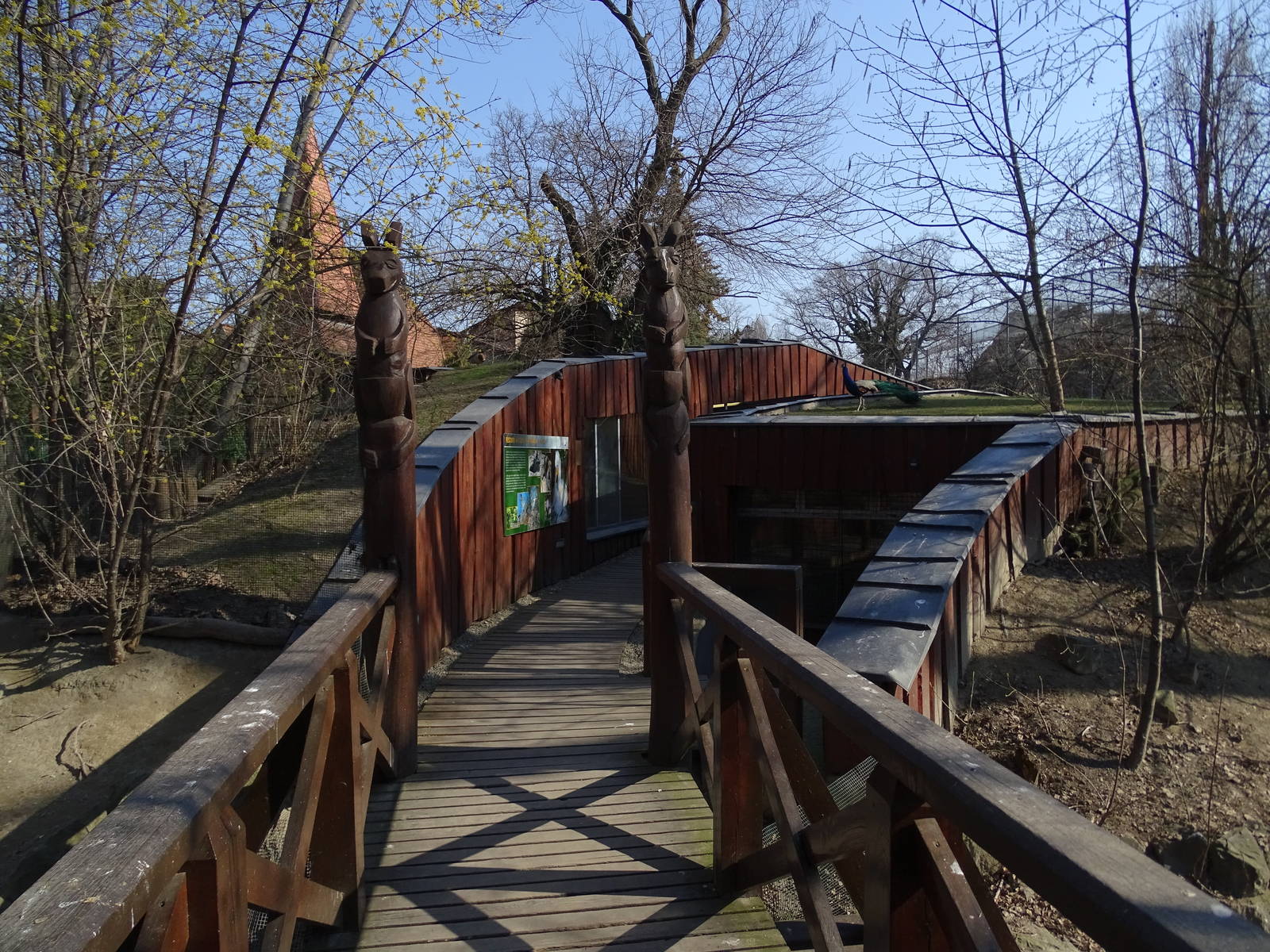 Path to kangaroo and cassowary indoor enclosures