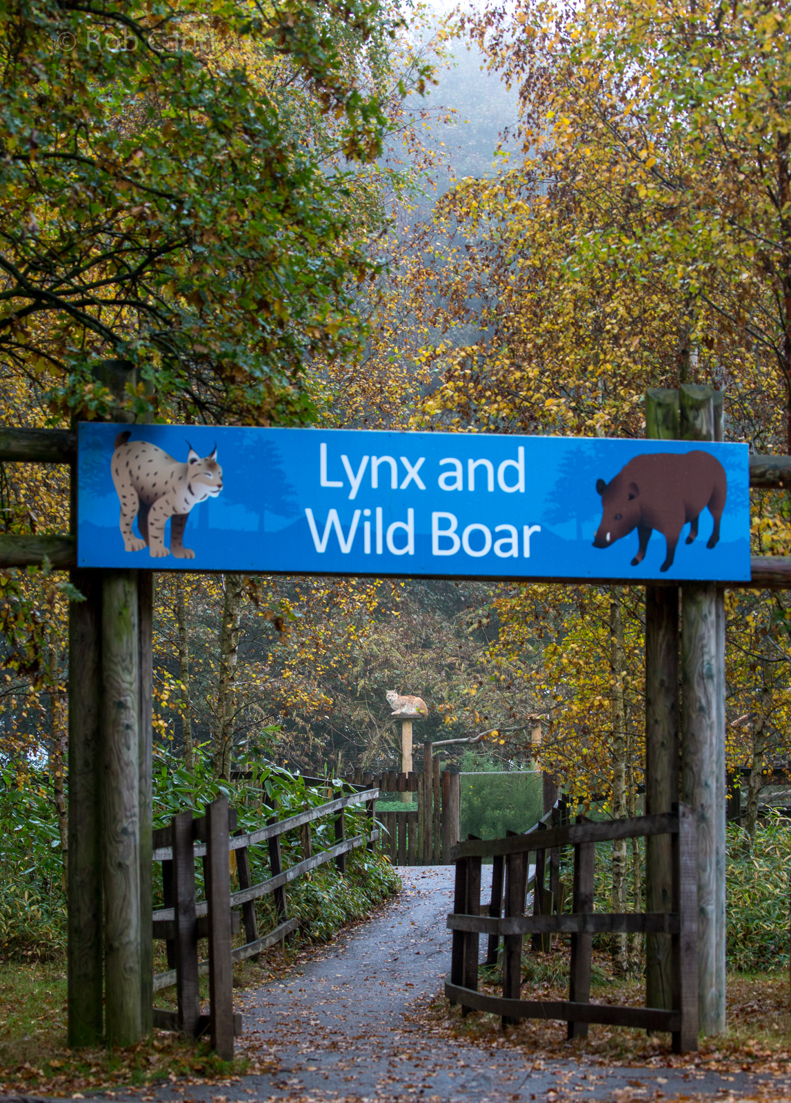 Path to lynx / wild boar exhibits : Whipsnade : 04 Nov 2016