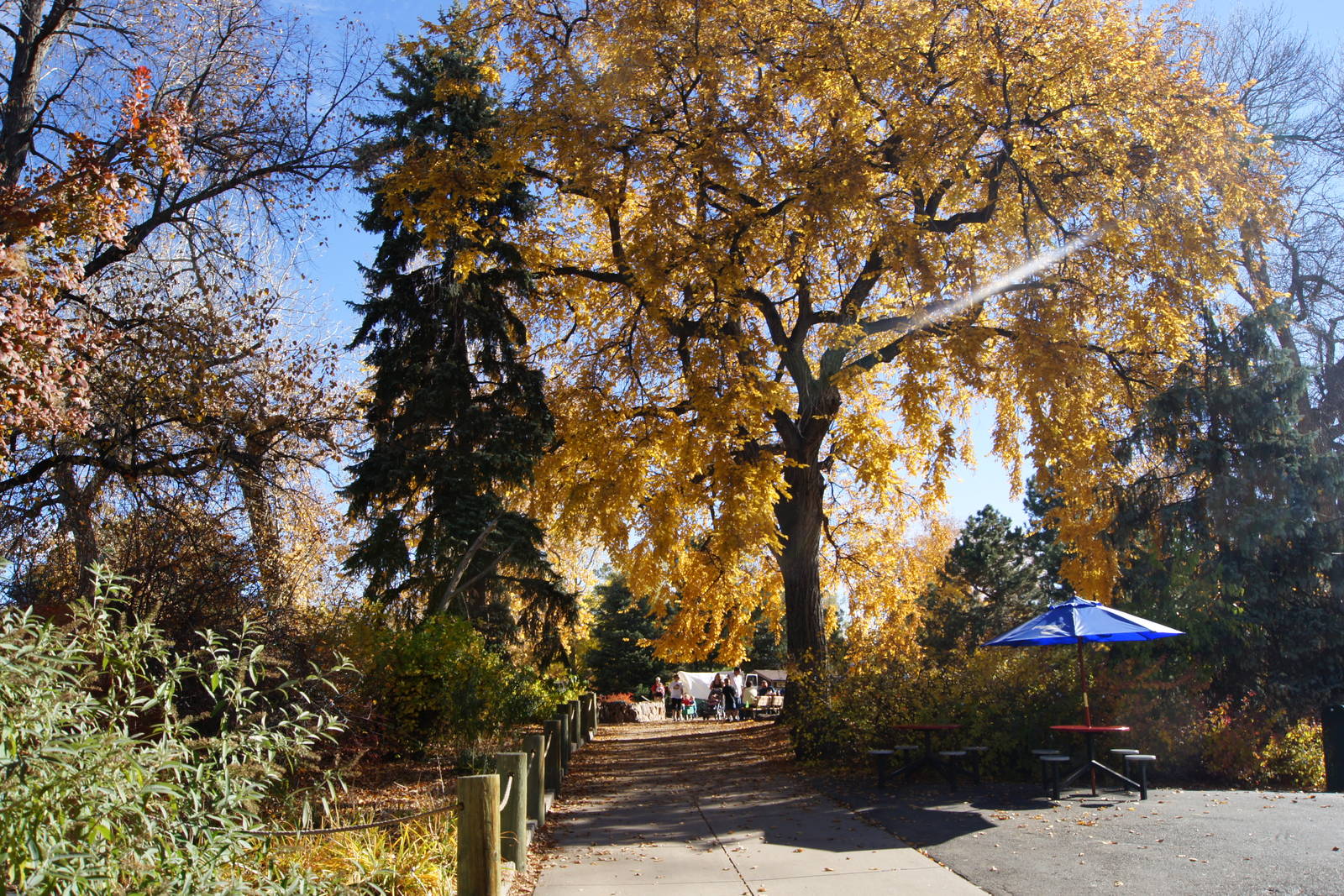 Path to Monkey Island