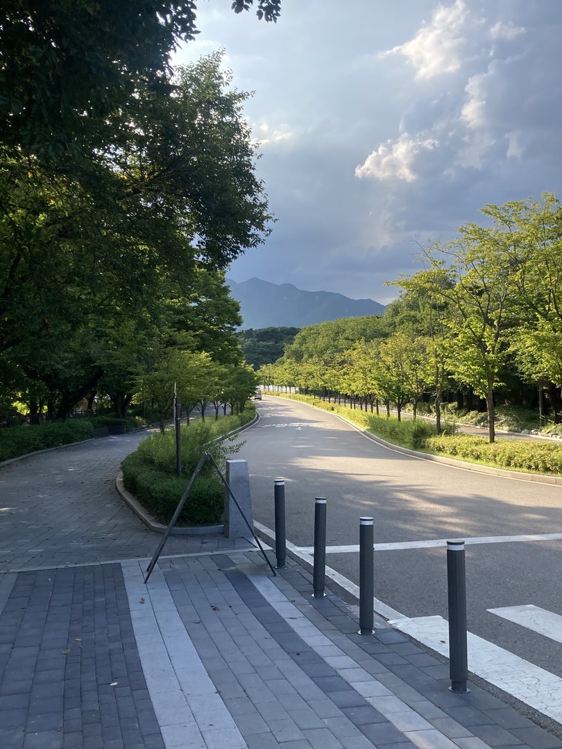 Path to the entrance