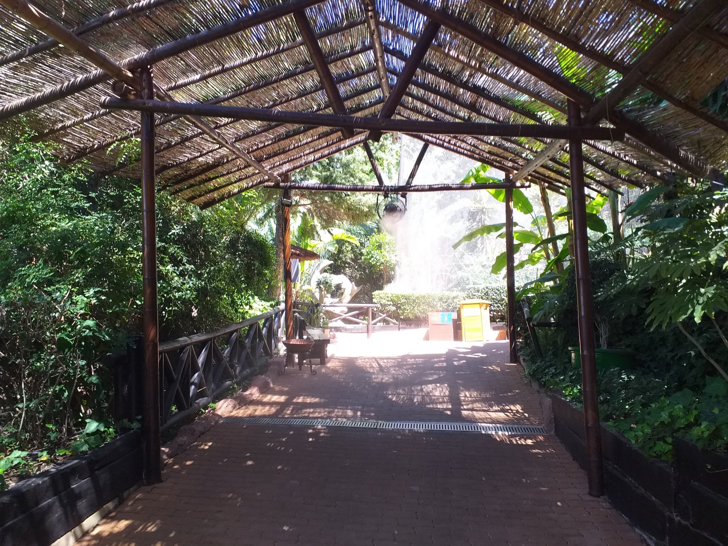 Path to the large aviary -MundoMar Benidorm (2021)