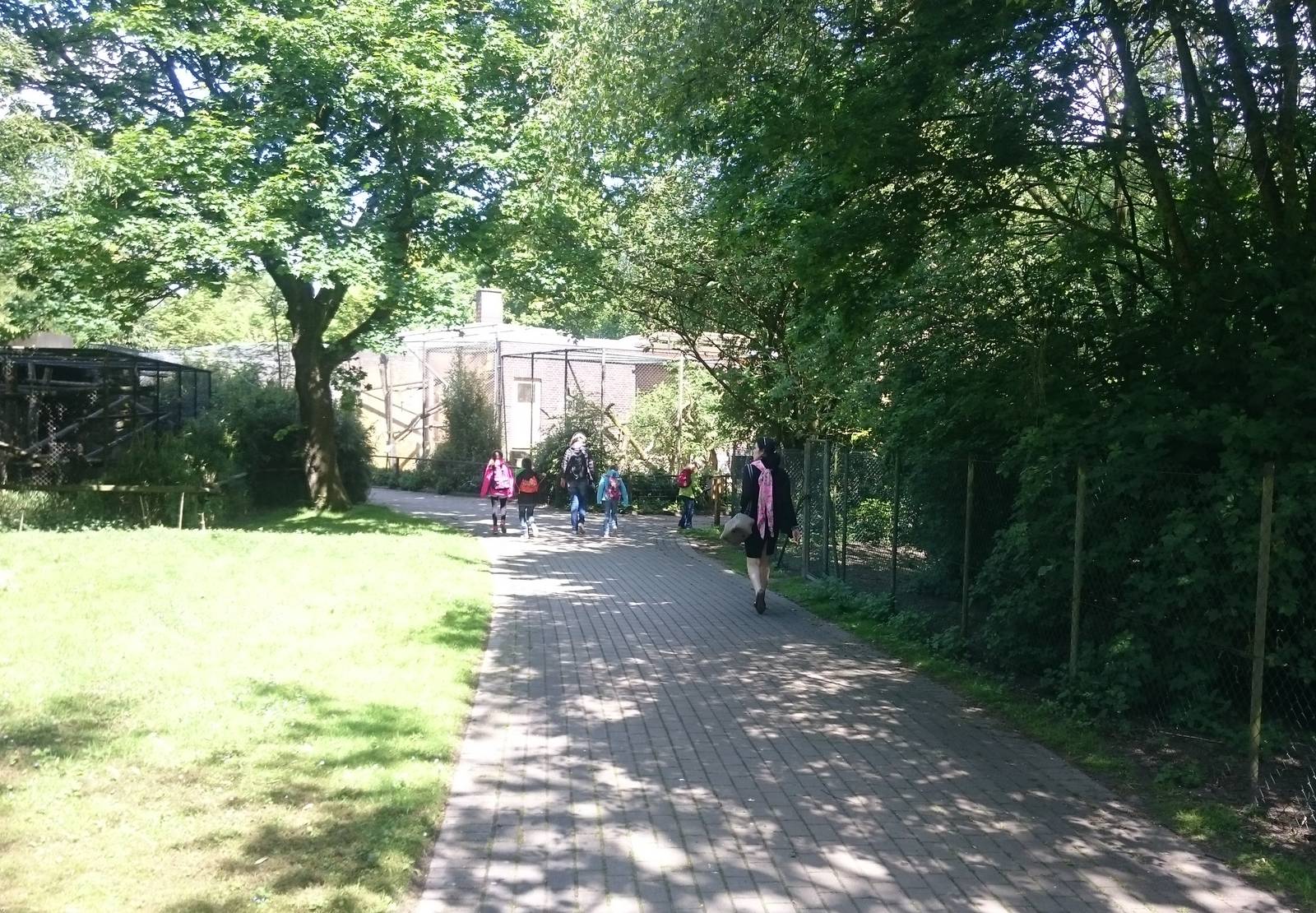 Path to the Monkey-house