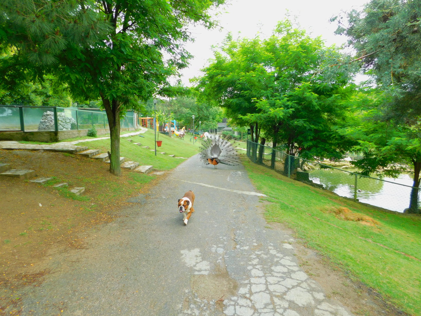 Path to the Playground