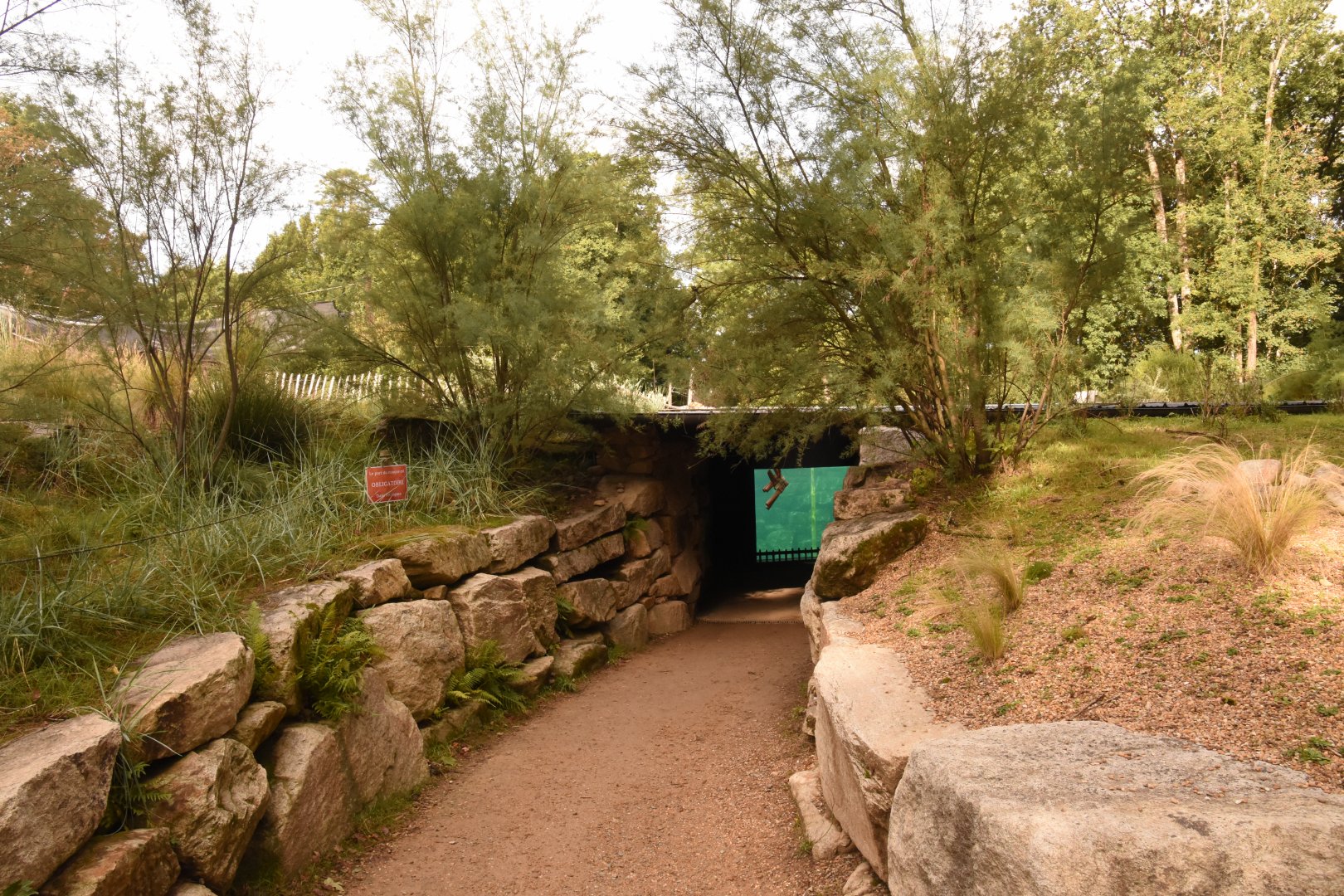 Path to underwater viewing