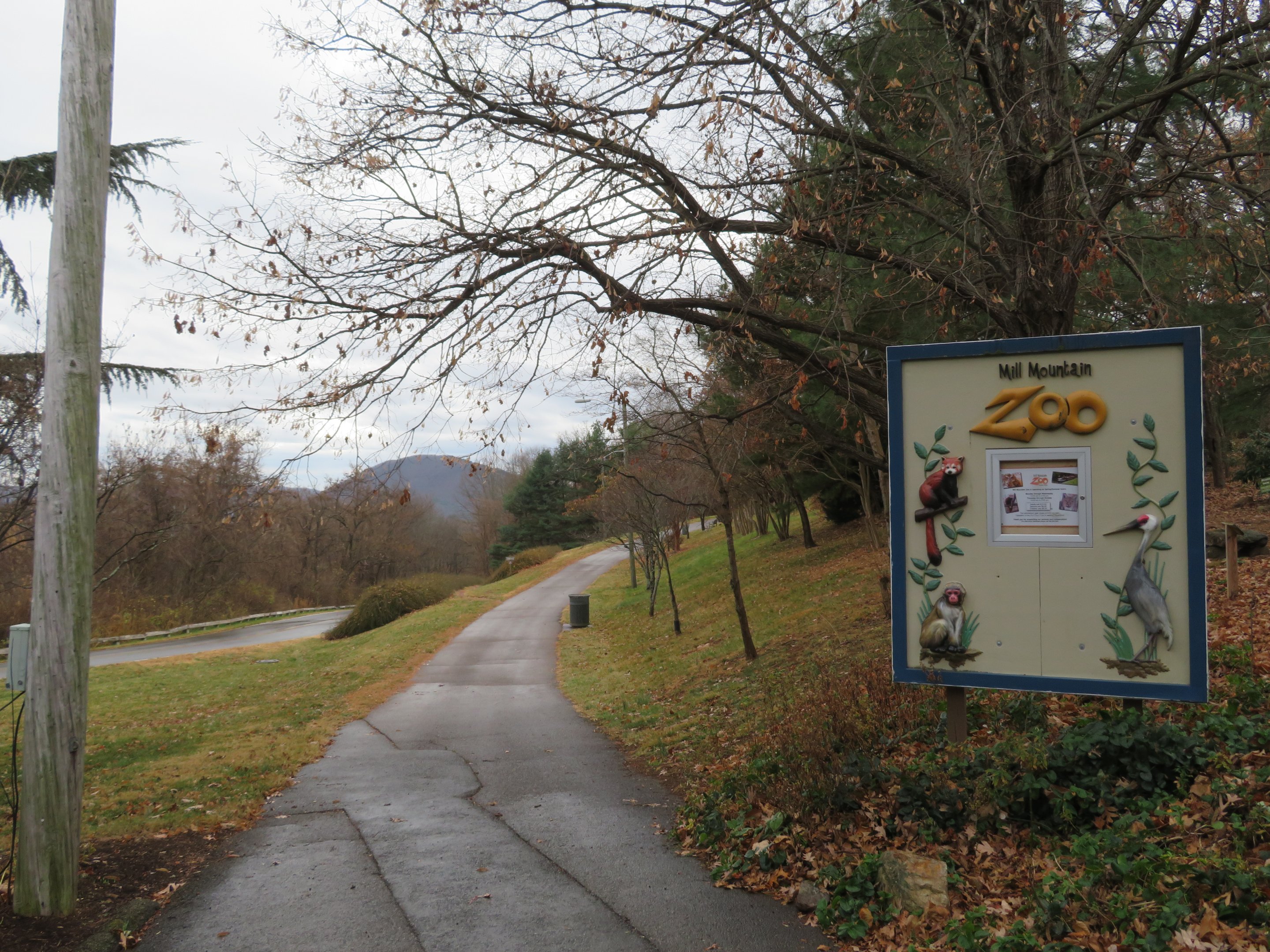 Path to Zoo Entrance