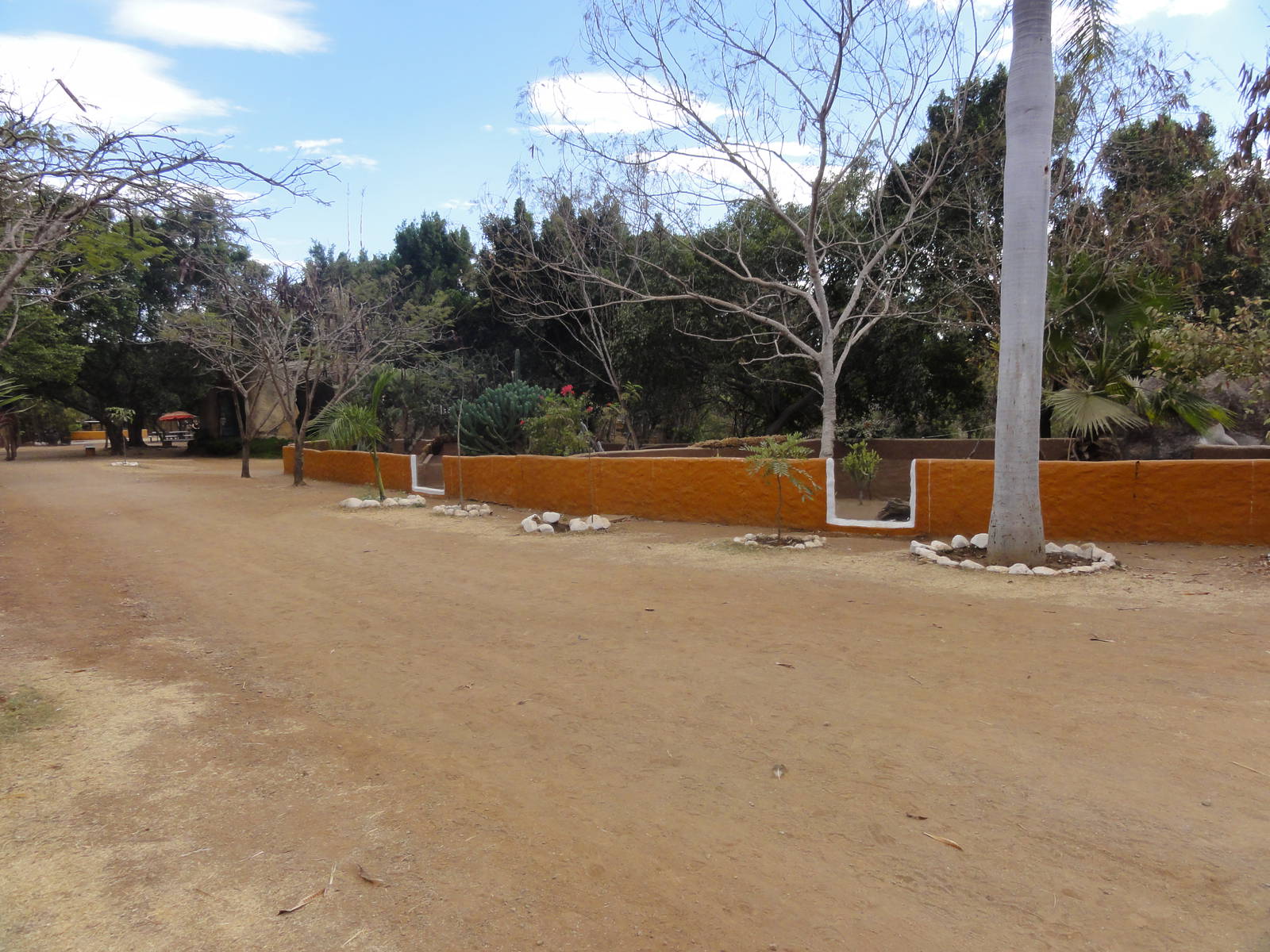 Path/ Tortoise, etc. exhibit