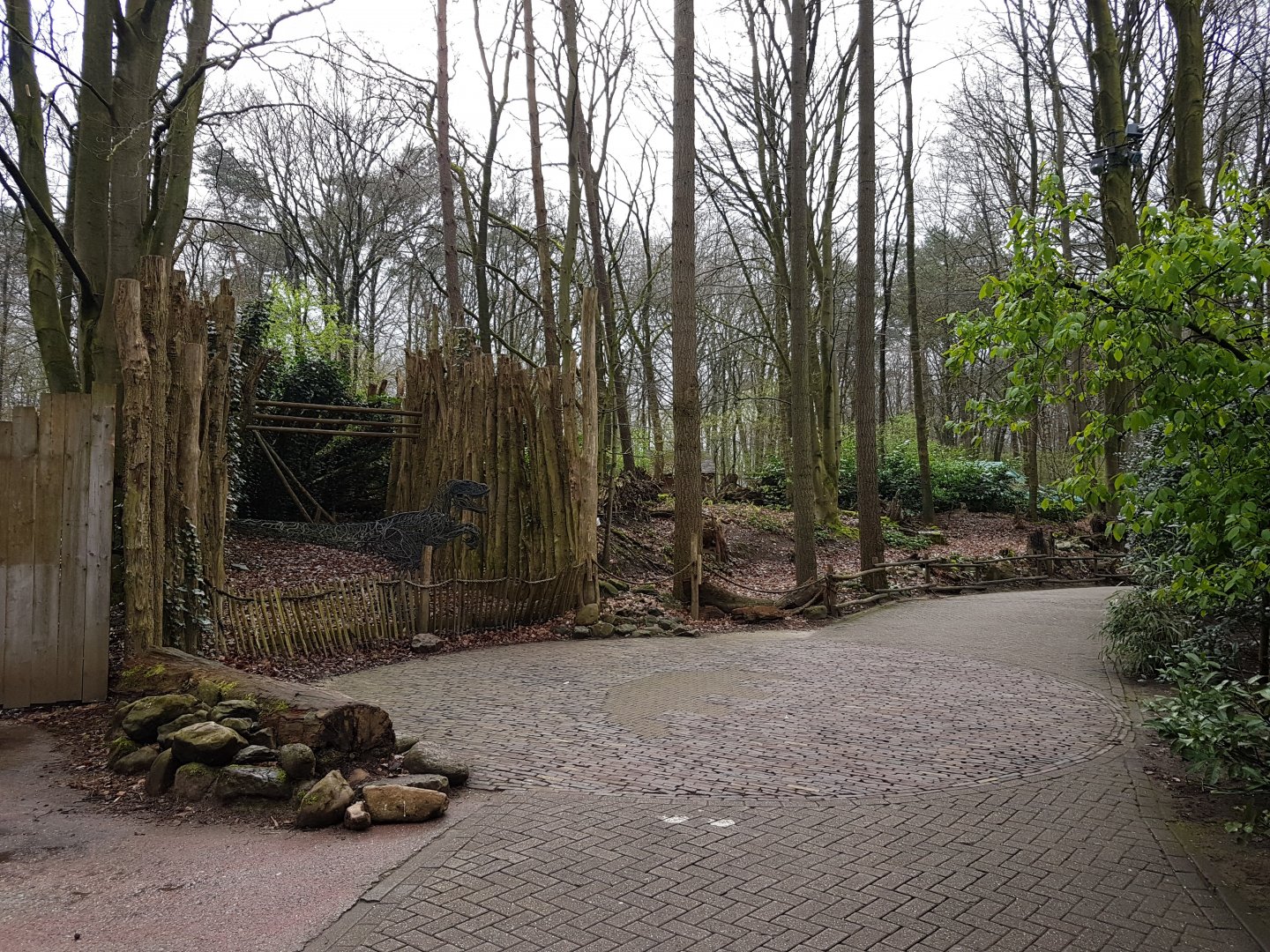 Path toward dino-part