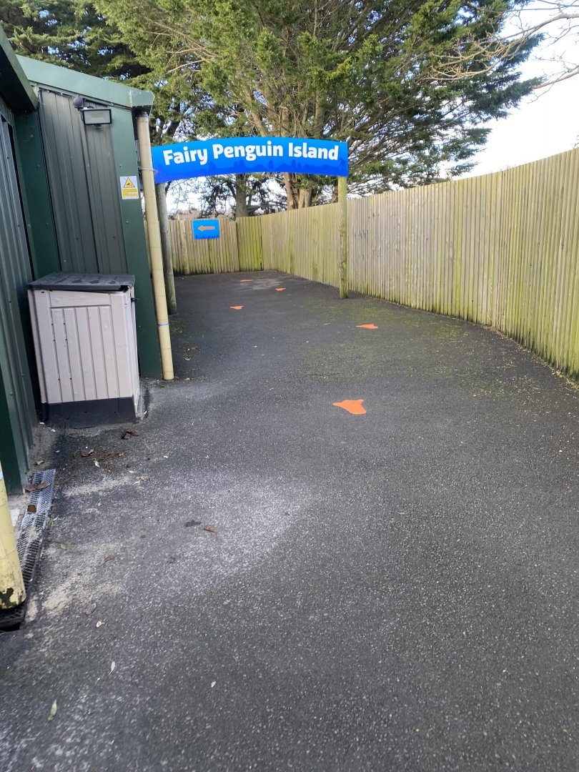 Path towards Little penguin exhibit 060125