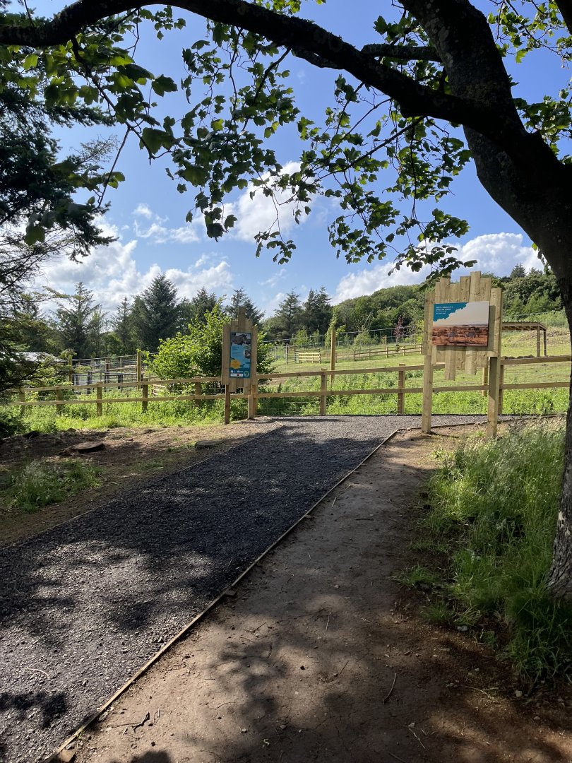 Path up to new zebra enclosure