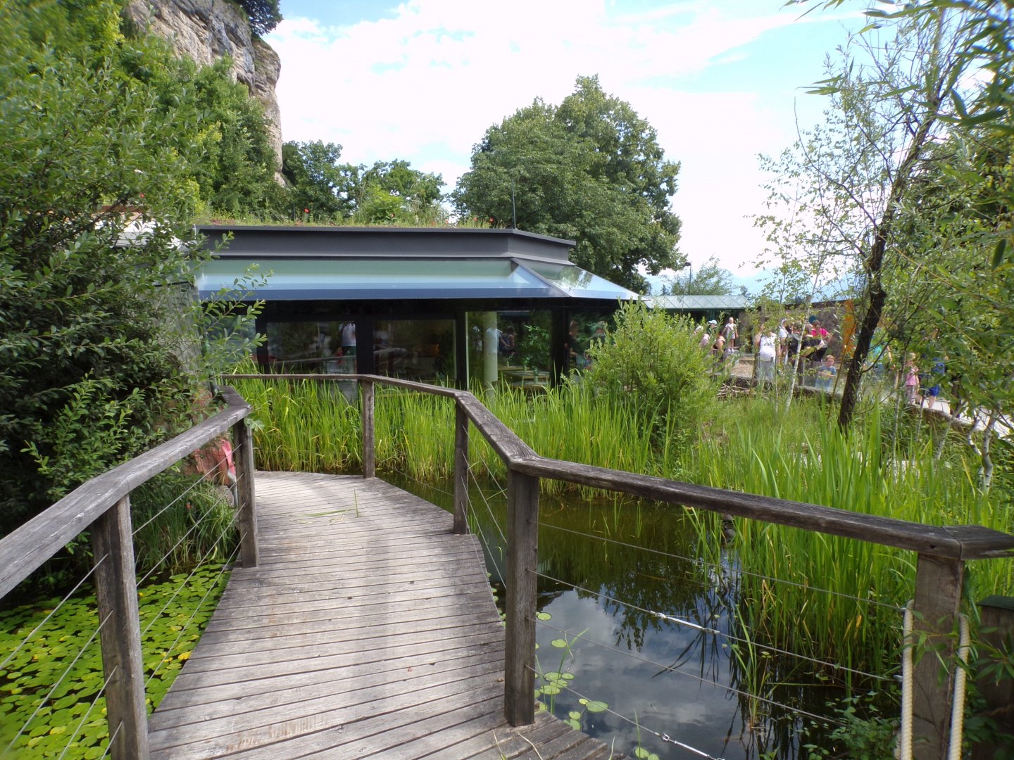 Path up to Paludarium (was closed off) 13.7.25
