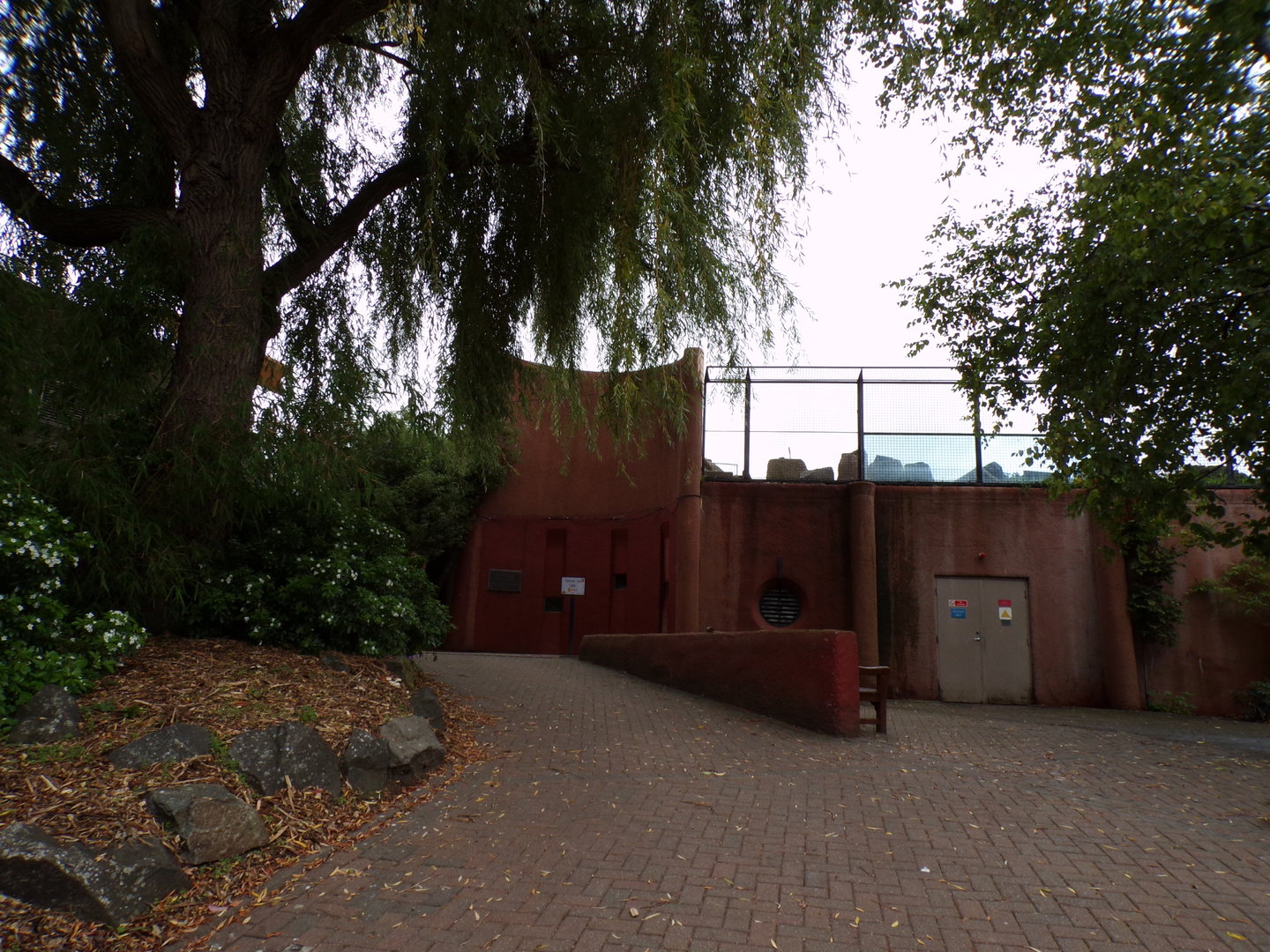Path up to the temporary sloth enclosure