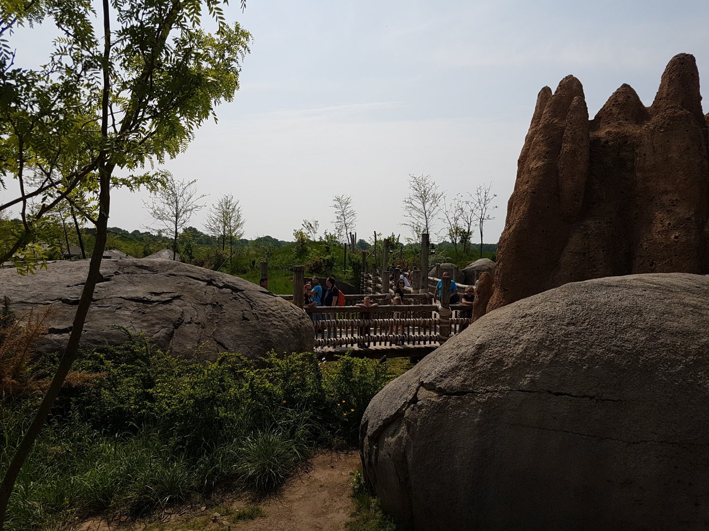 Path-way between Kopjes