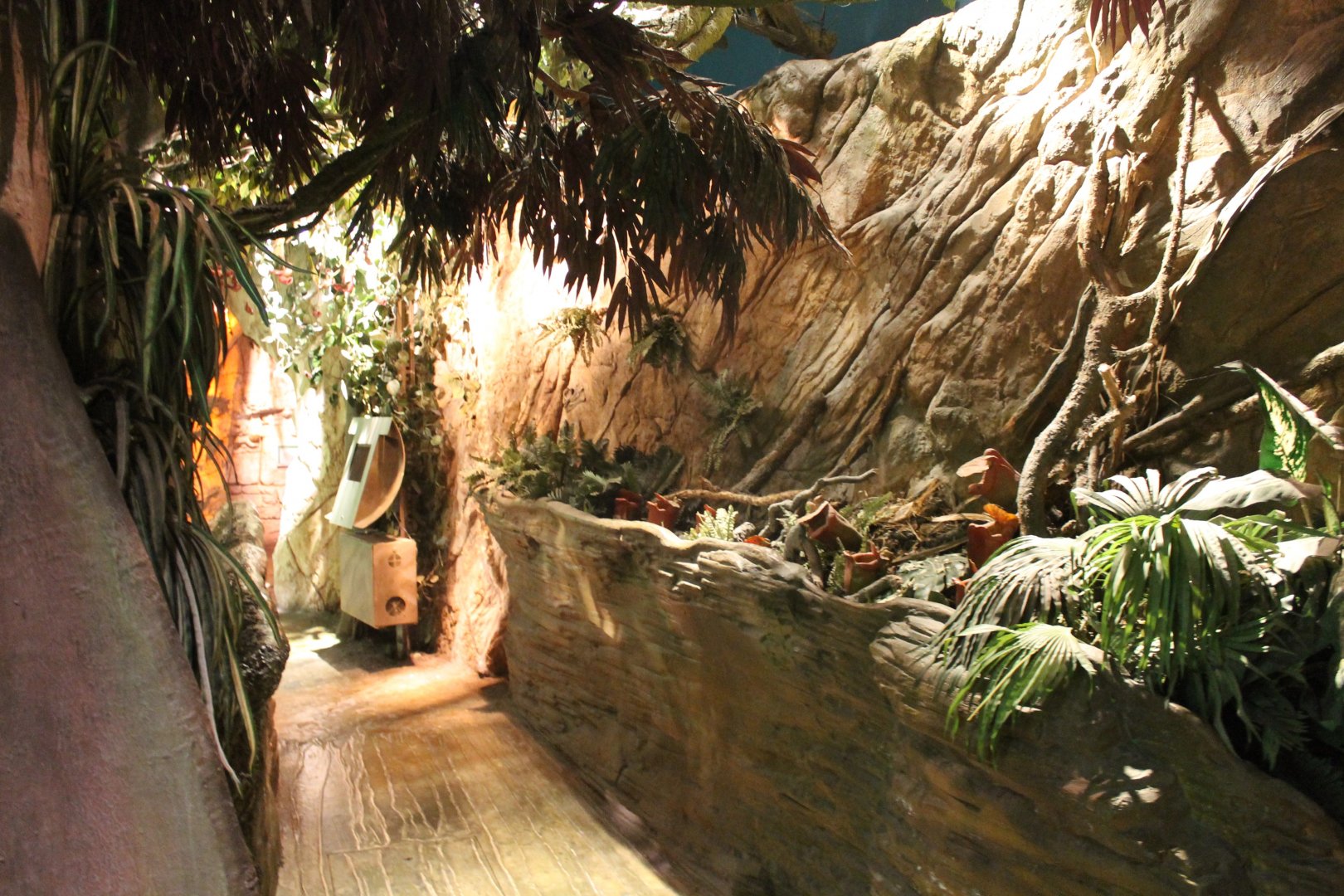 Path-way in the Jungle-area