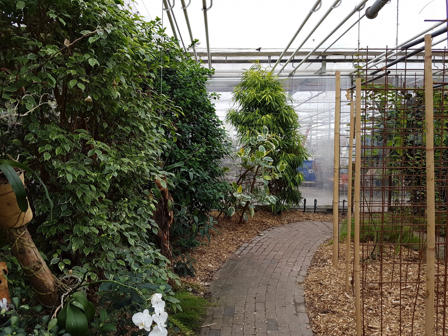 Path-way through the Hall