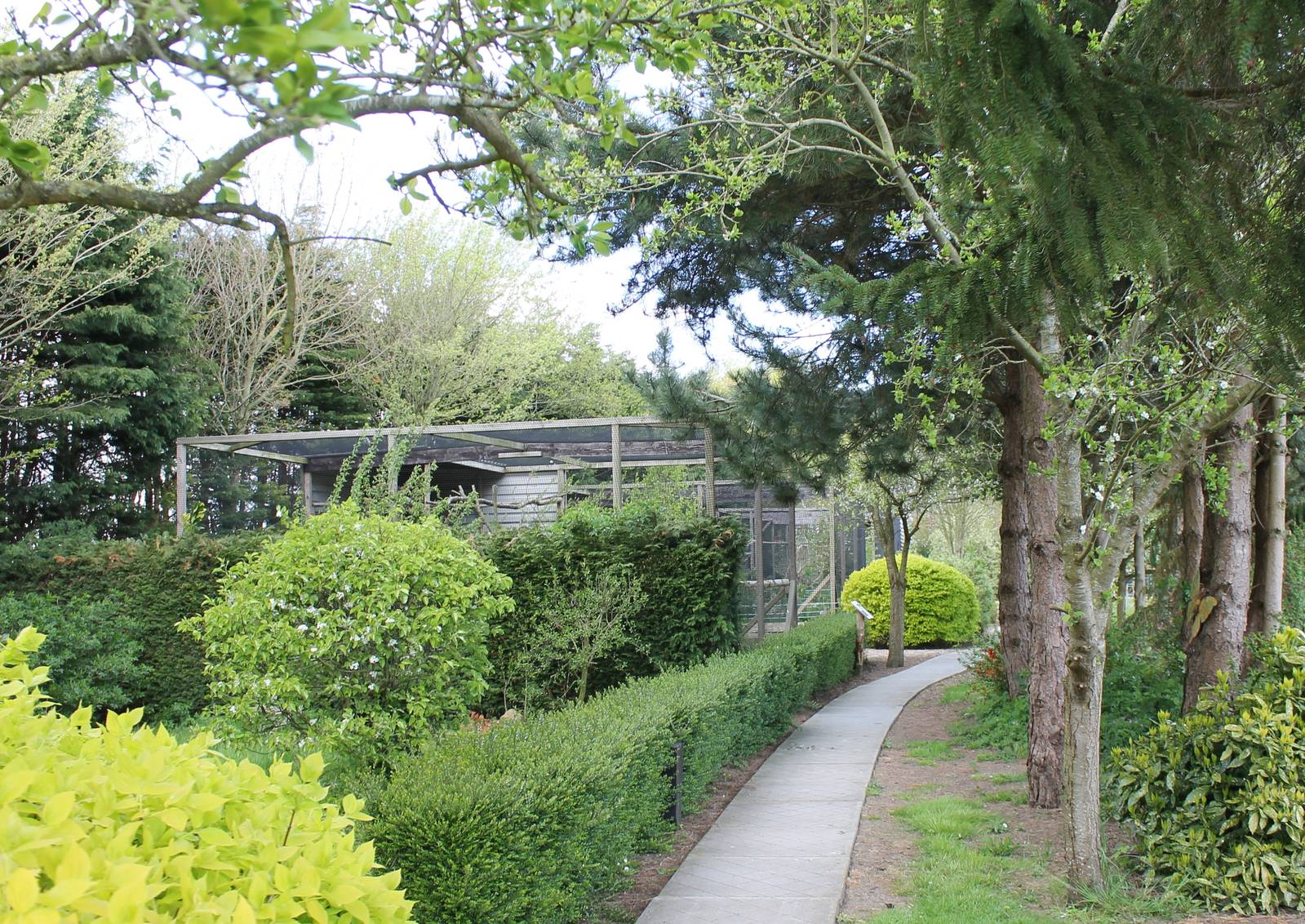 Path-way to owl aviaries