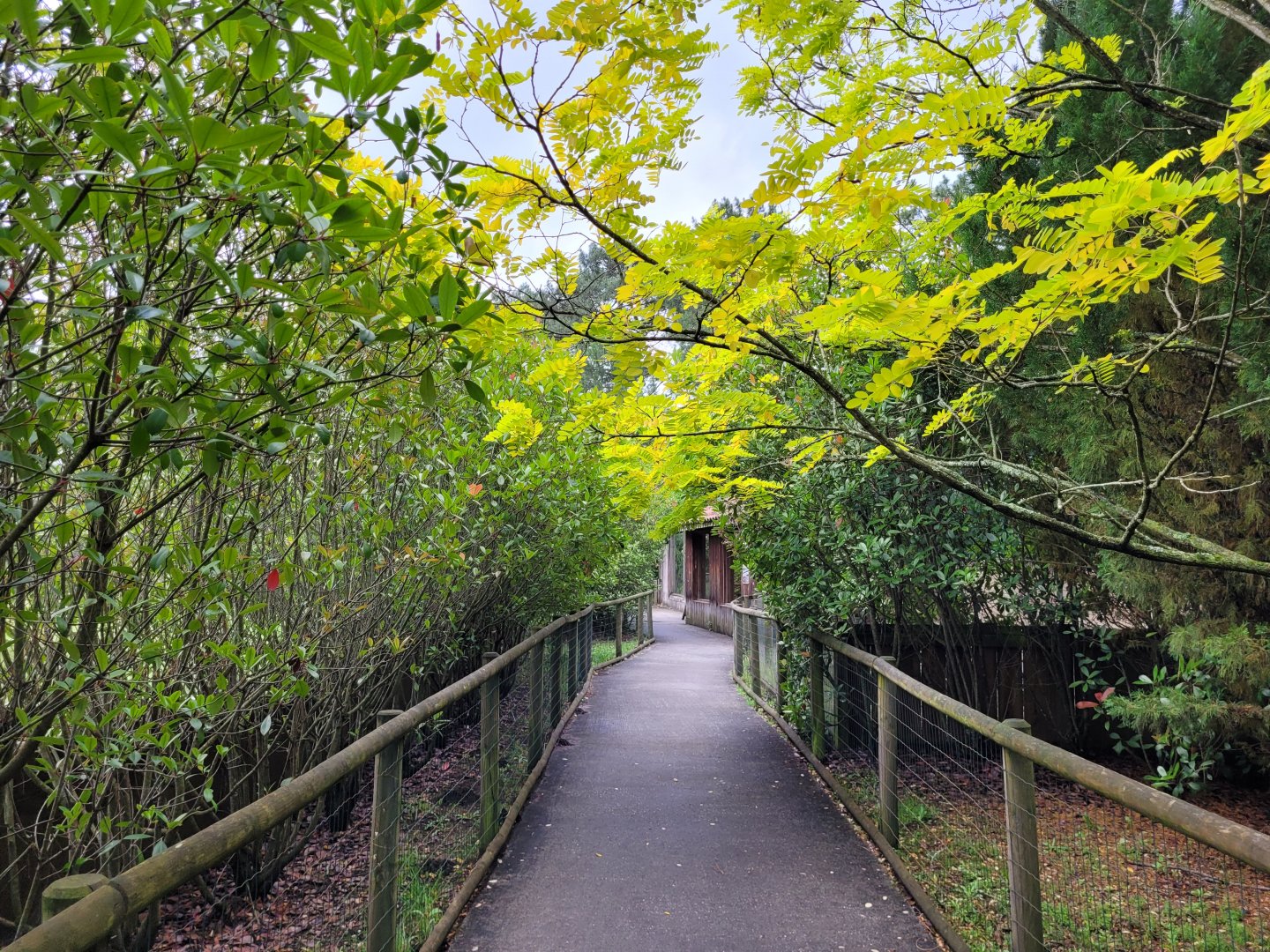 Path with small carnivoran enclosures -Zoo du bassin d'Arcachon (2024)