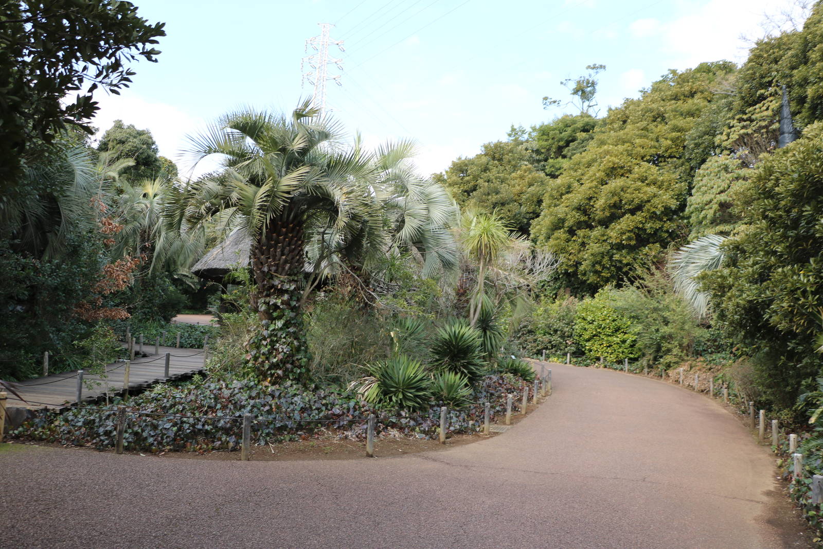 Paths in Amazon area, February 2016
