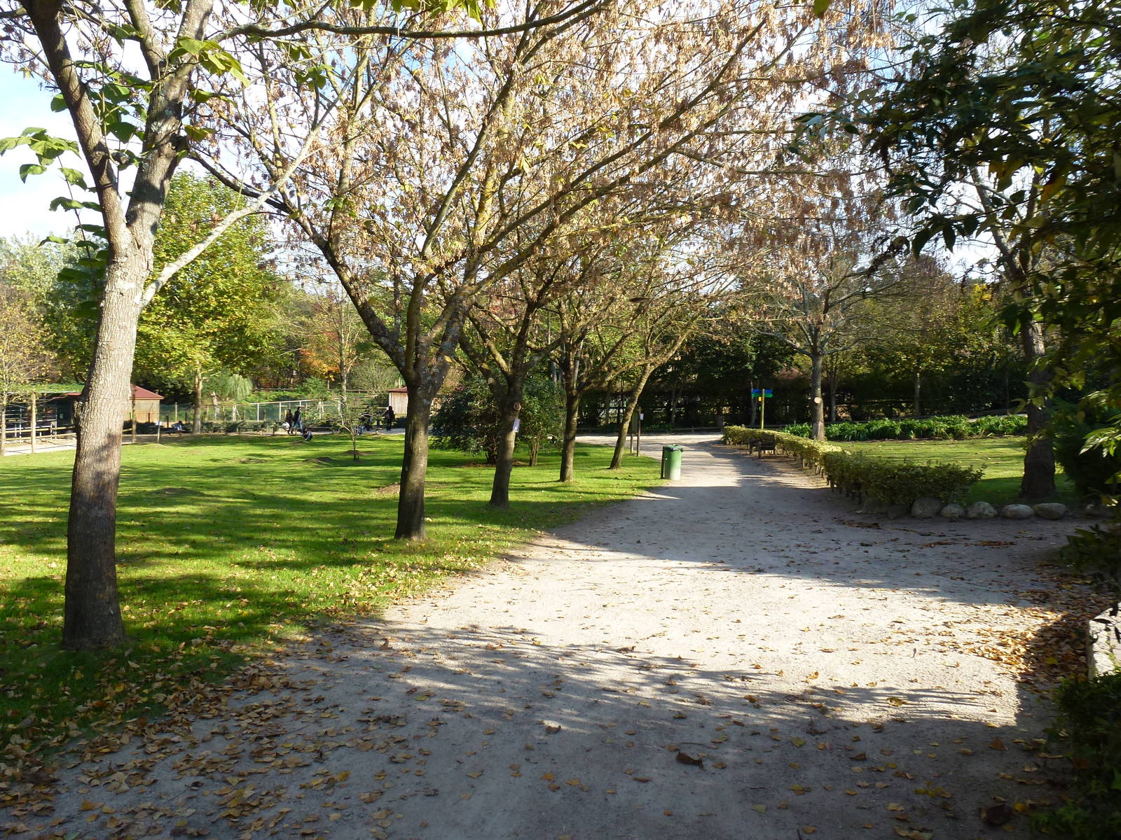 Paths through the gardens, November 2013.