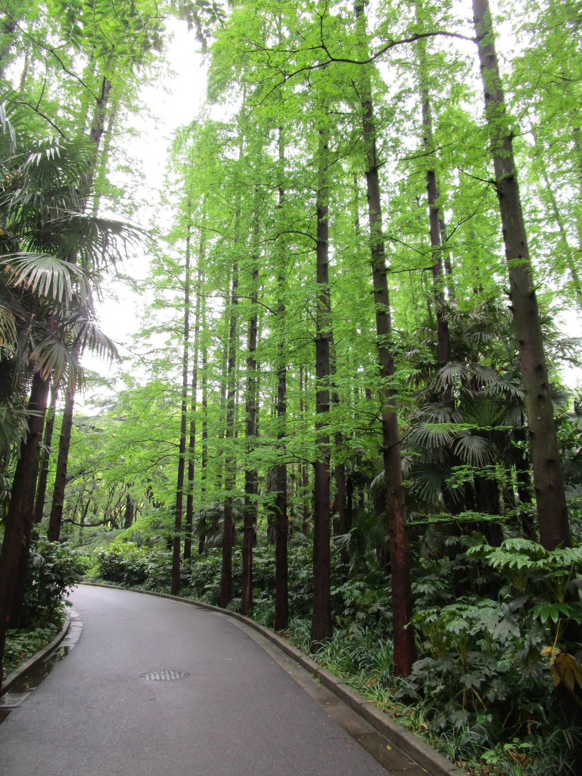 Pathway - 16/04/2016