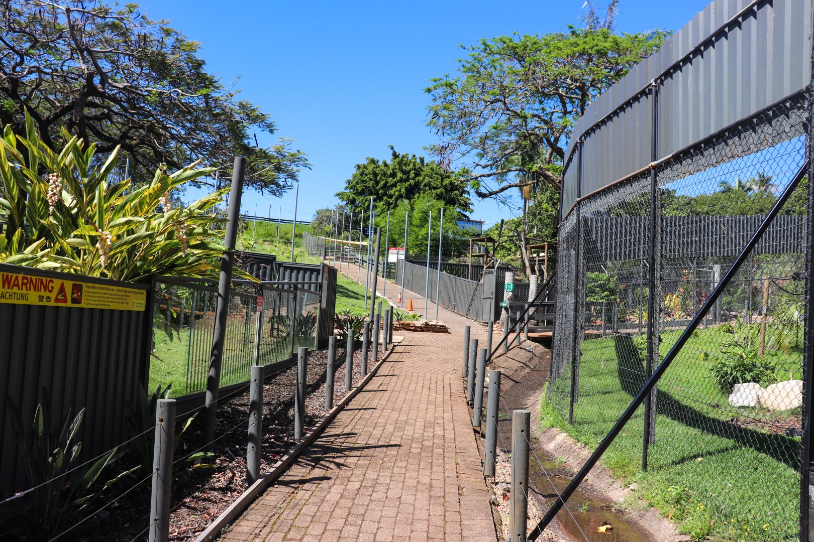 Pathway Along Spider Monkeys