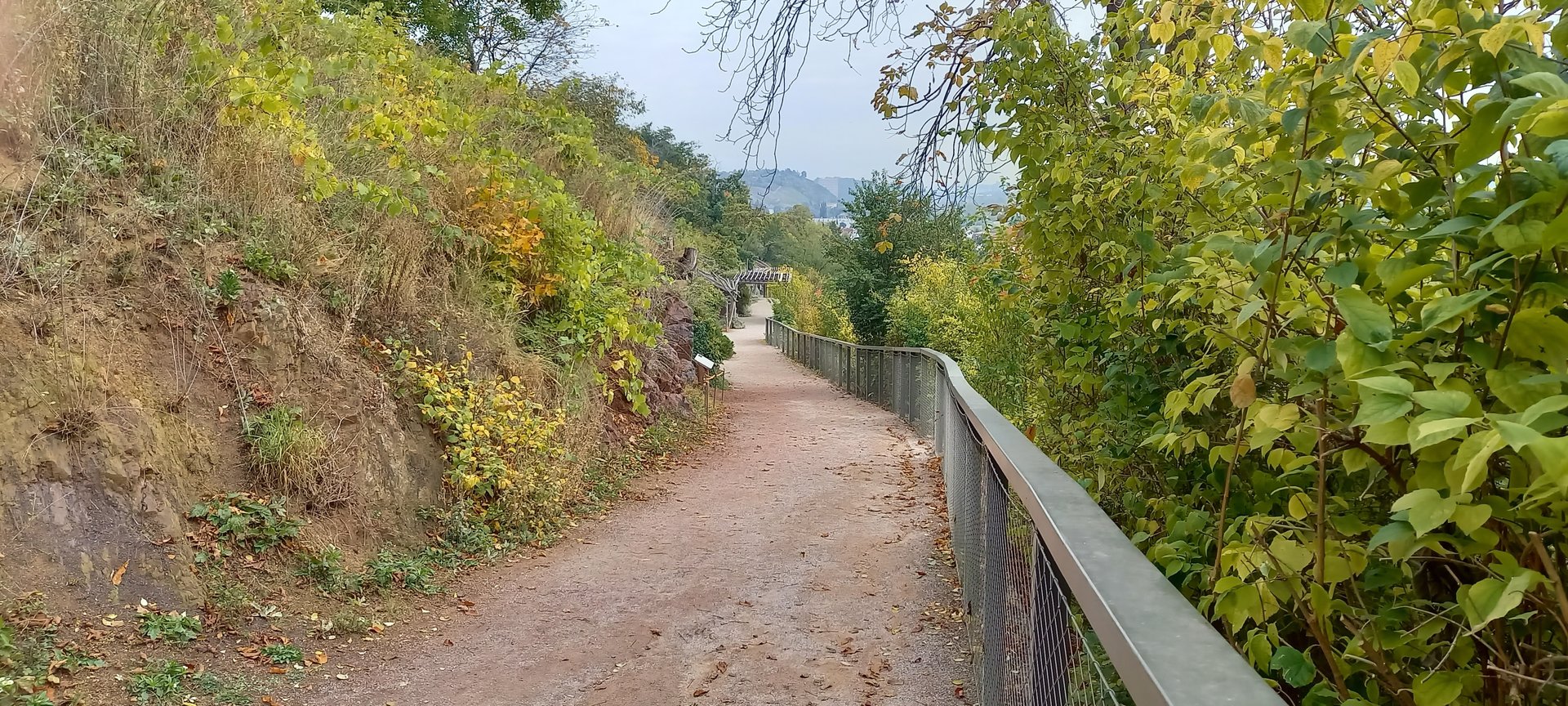 Pathway along the hill