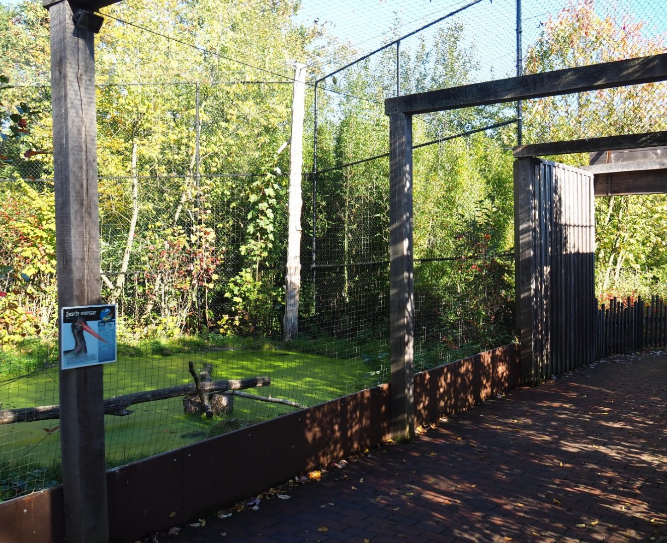 Pathway alongside and underneath European eagle-owl - Common raven - Black stork aviary (Oct 13th, 2018)