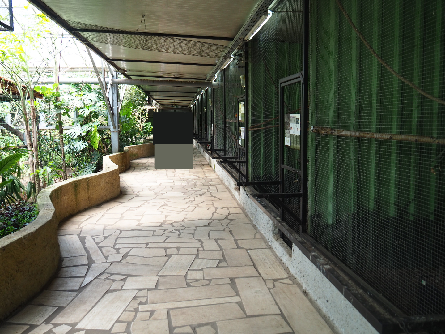 Pathway alongside bird and small mammal cages on the second level of the tropical house, 2019-08-04