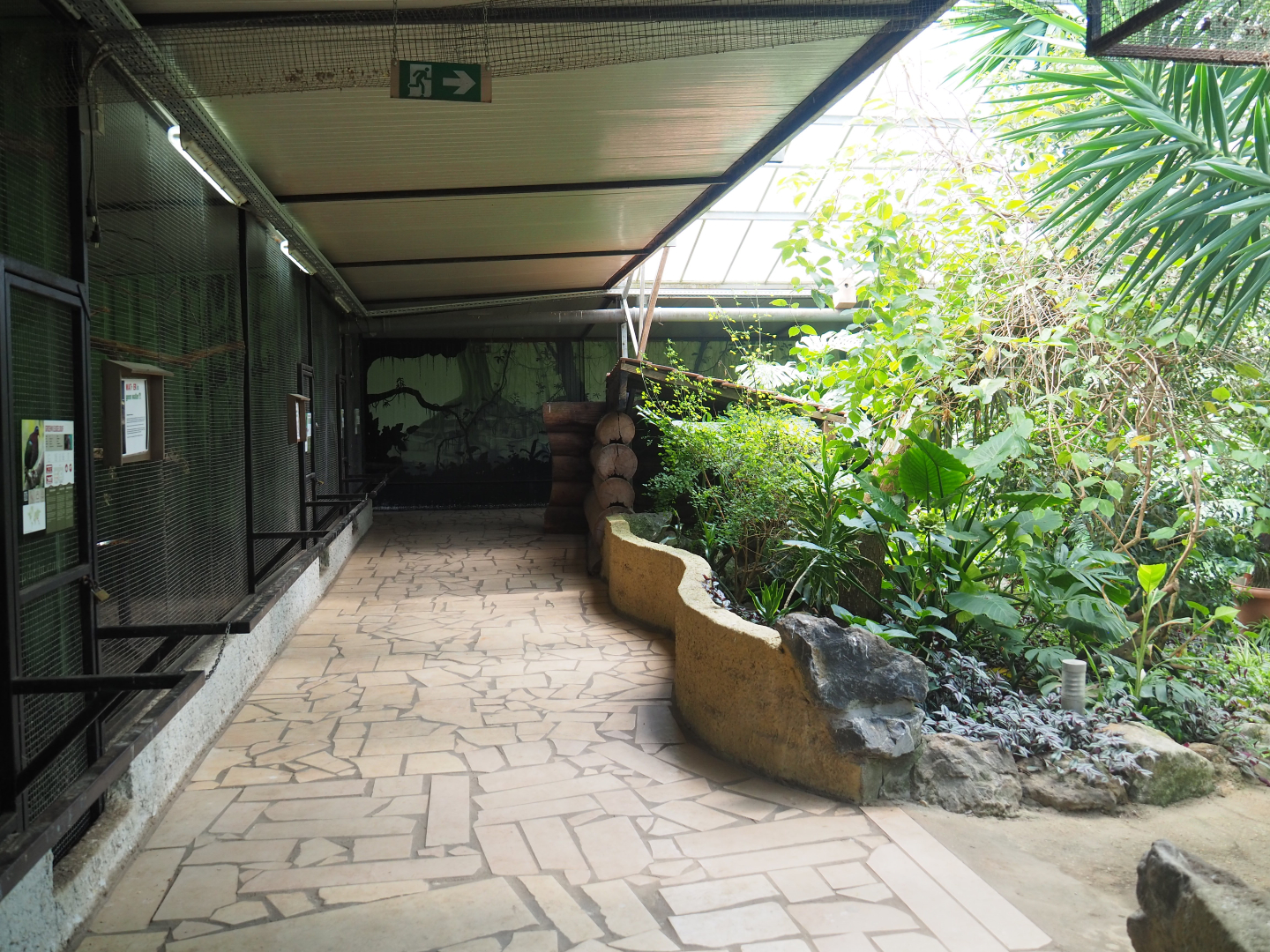 Pathway alongside bird and small mammal cages on the second level of the tropical house, 2019-08-04