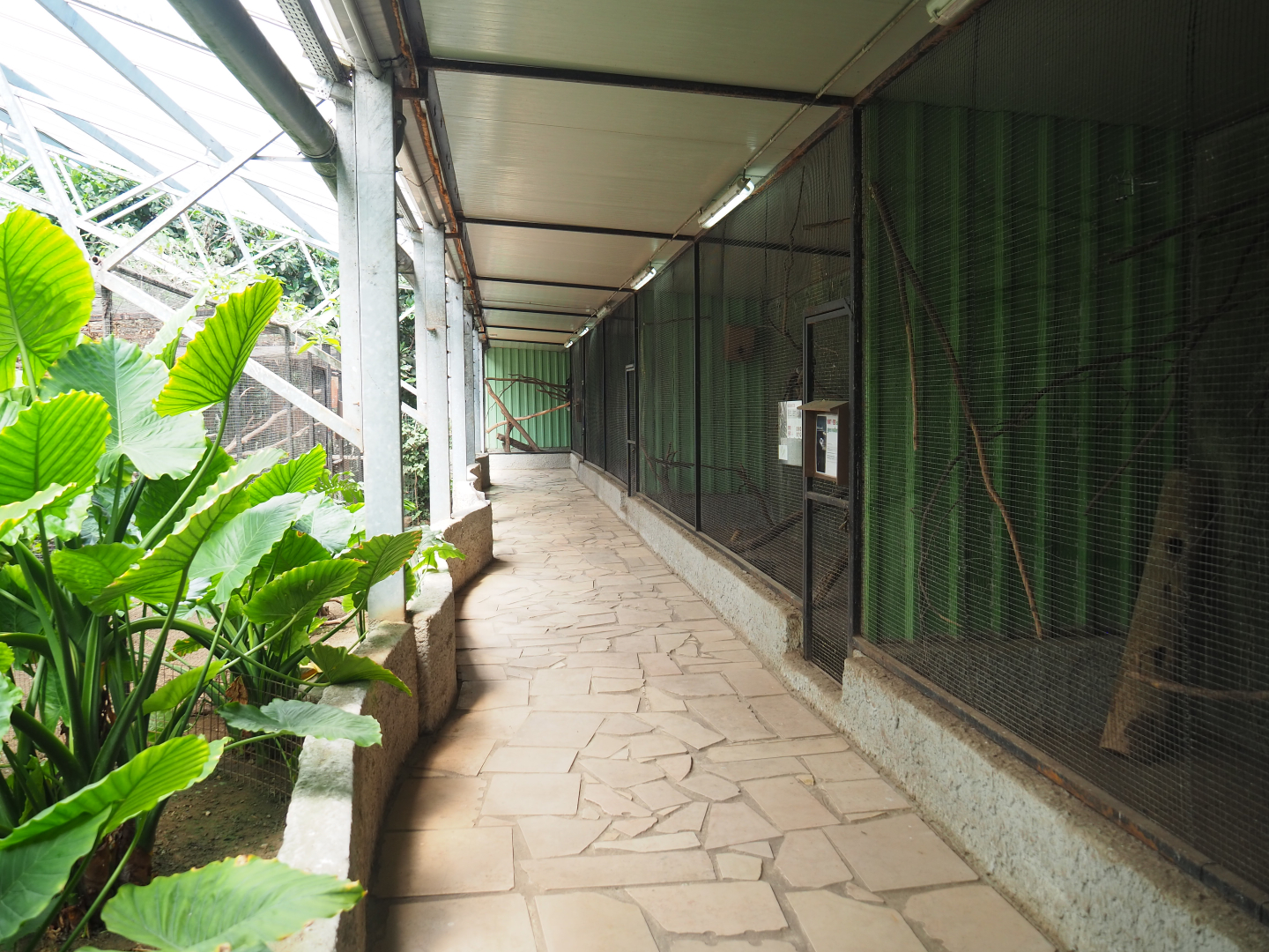 Pathway alongside bird and small mammal cages on the second level of the tropical house, 2019-08-04