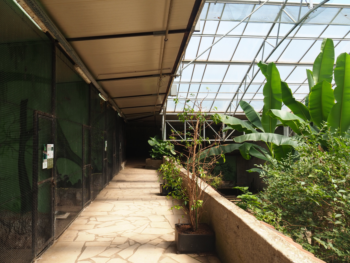 Pathway alongside bird and small mammal cages on the second level of the tropical house, 2019-08-04