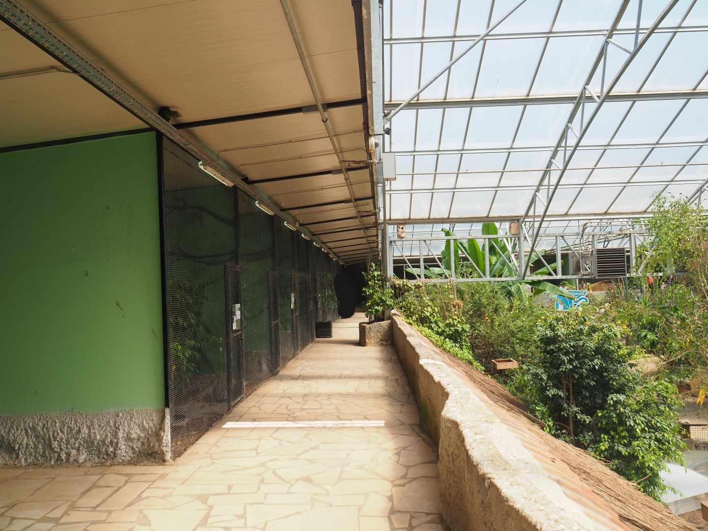 Pathway alongside bird and small mammal cages on the second level of the tropical house, 2019-08-04