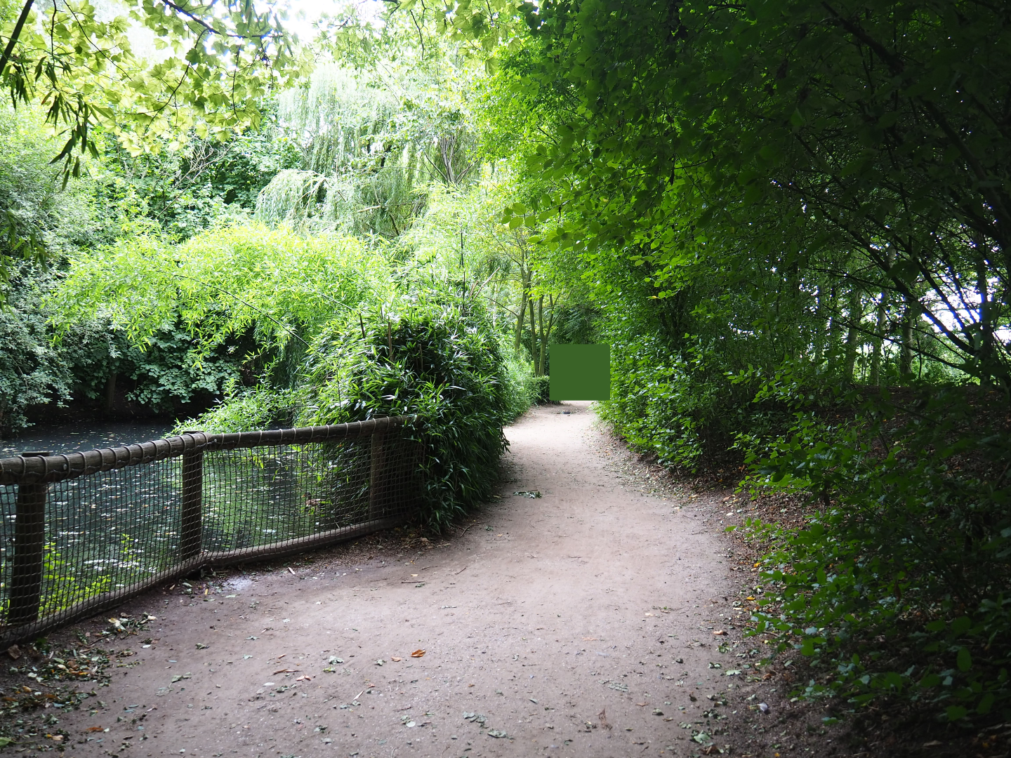 Pathway alongside Dalmatian pelican island, 2019-08-11