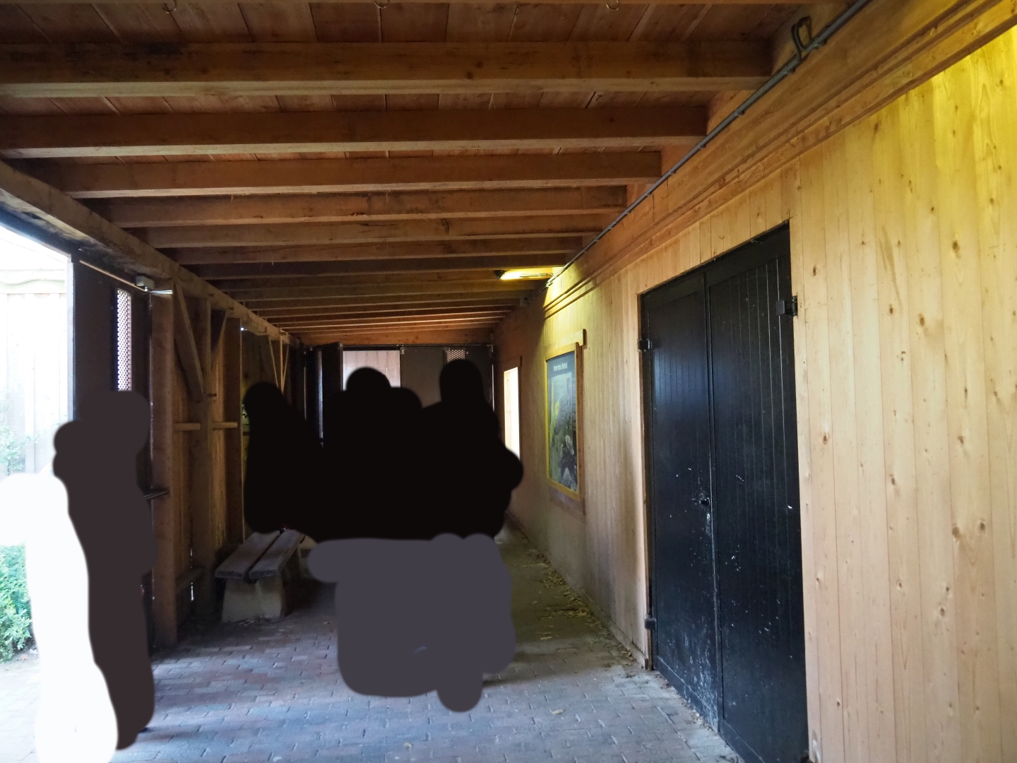 Pathway alongside indoor bird housing, 2019-03-30