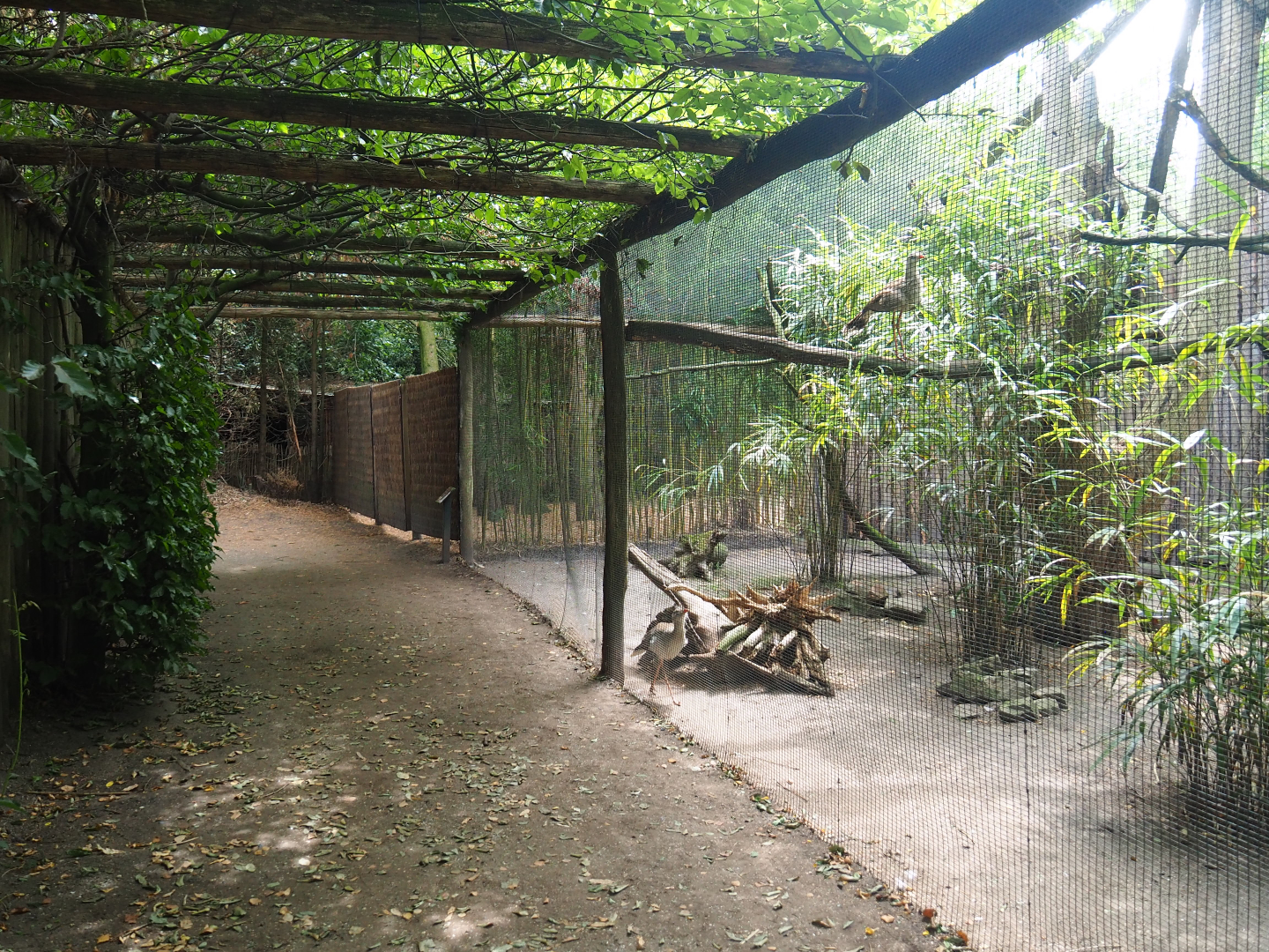Pathway alongside Red-legged seriema, 2019-08-11