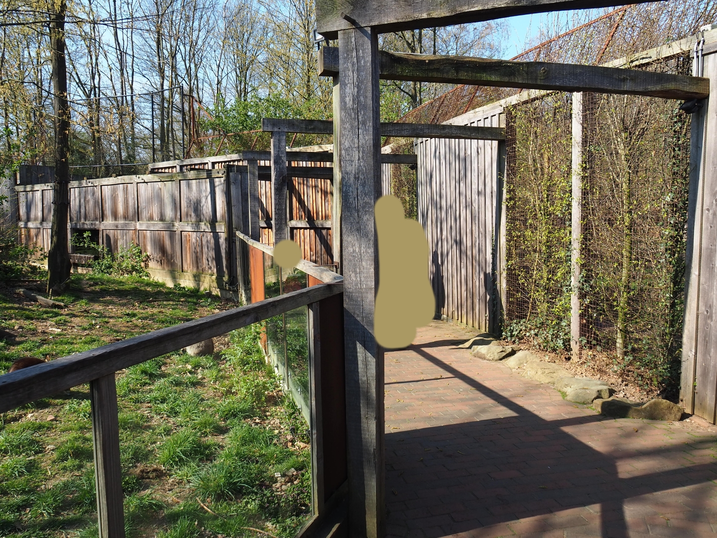 Pathway alongside the raccoon and striped skunk exhibit, 2019-03-30