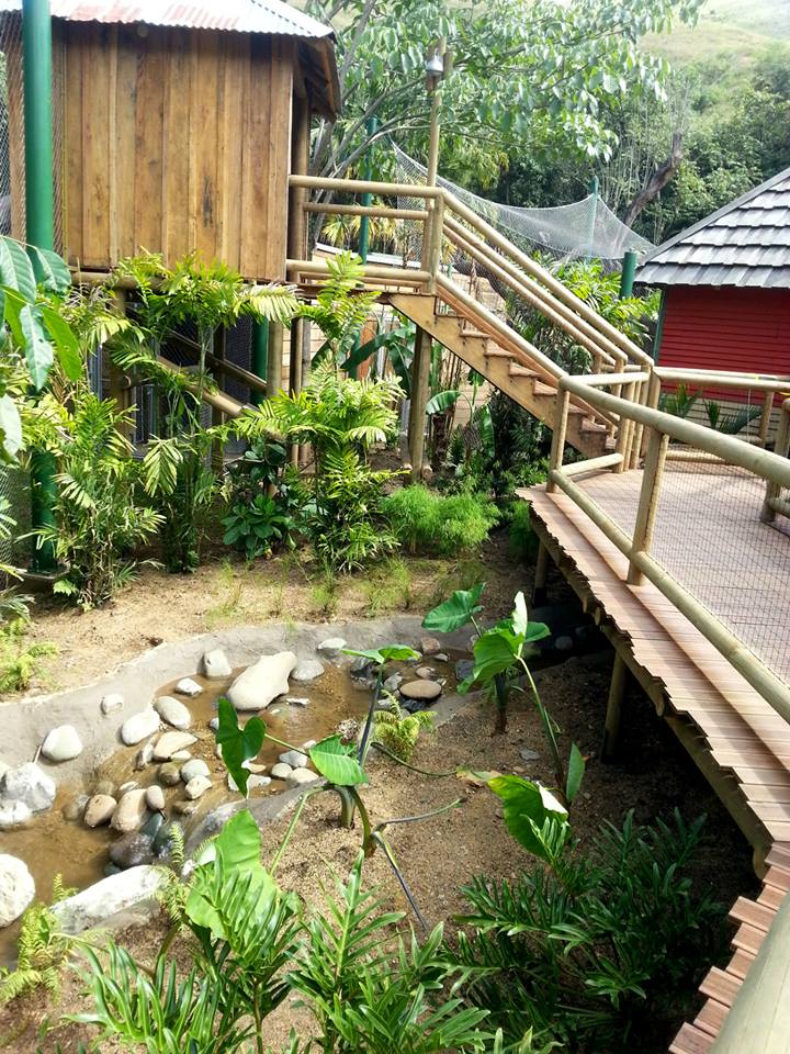 pathway and explorer house