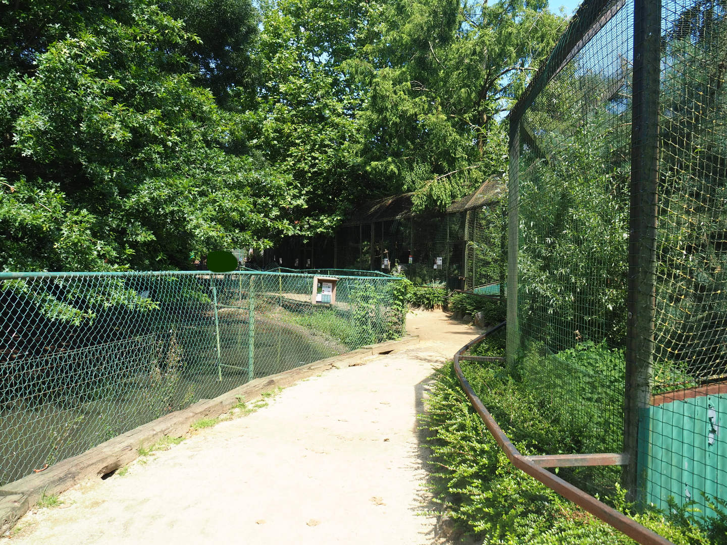 Pathway and viewing area in between crane exhibits and raptor aviaries, 2019-08-04