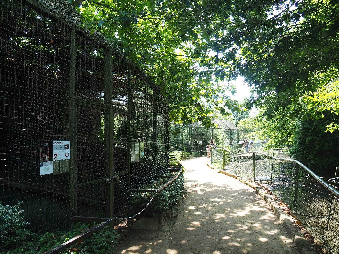 Pathway and viewing area in between raptor and owl aviaries and crane exhibits, 2019-08-04