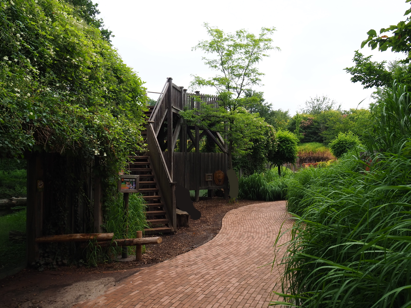 Pathway and viewing areas next to the African lion exhibit, 2019-07-21