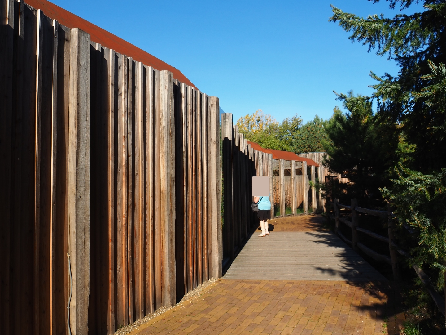 Pathway and viewing windows Barbary macaque exhibit (Oct 13th, 2018)