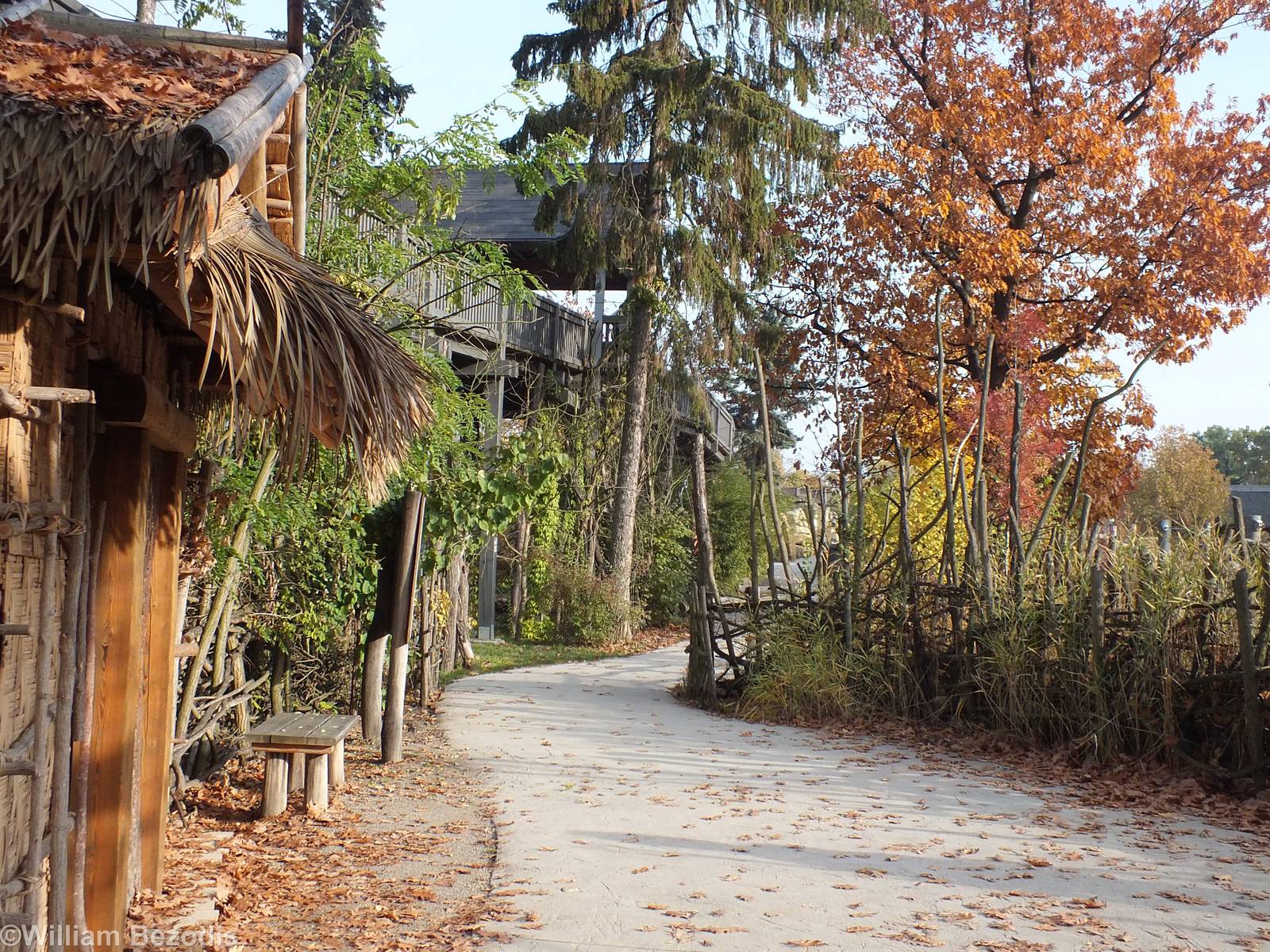 Pathway around 'Elephant Valley'