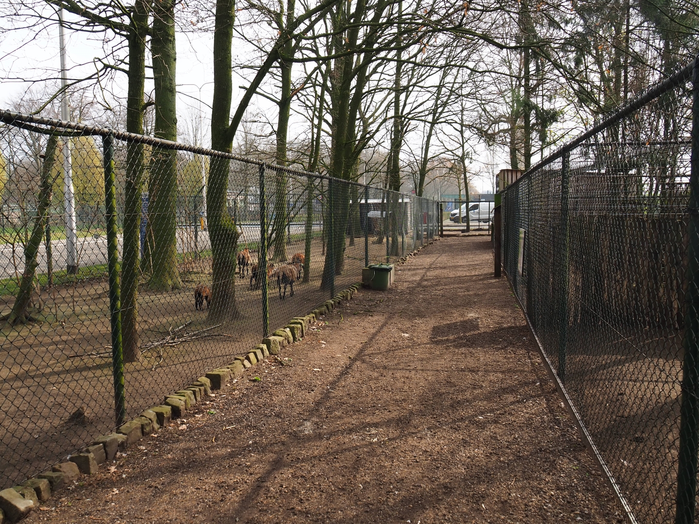 Pathway between exhibits, 2019-04-06