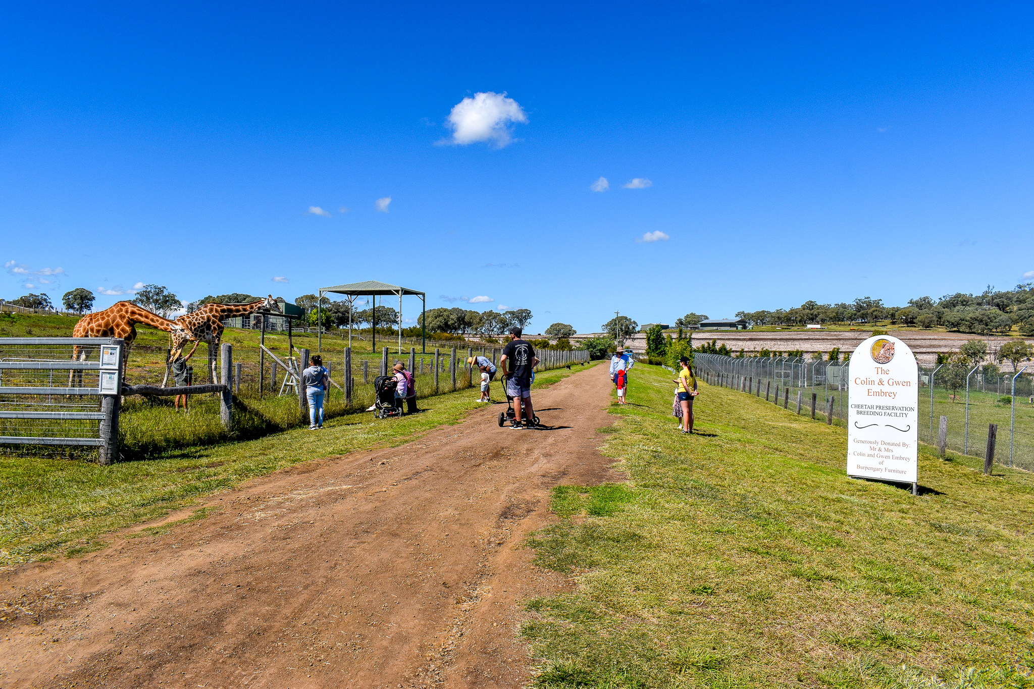 Pathway between Giraffe and Cheetah Enclosures